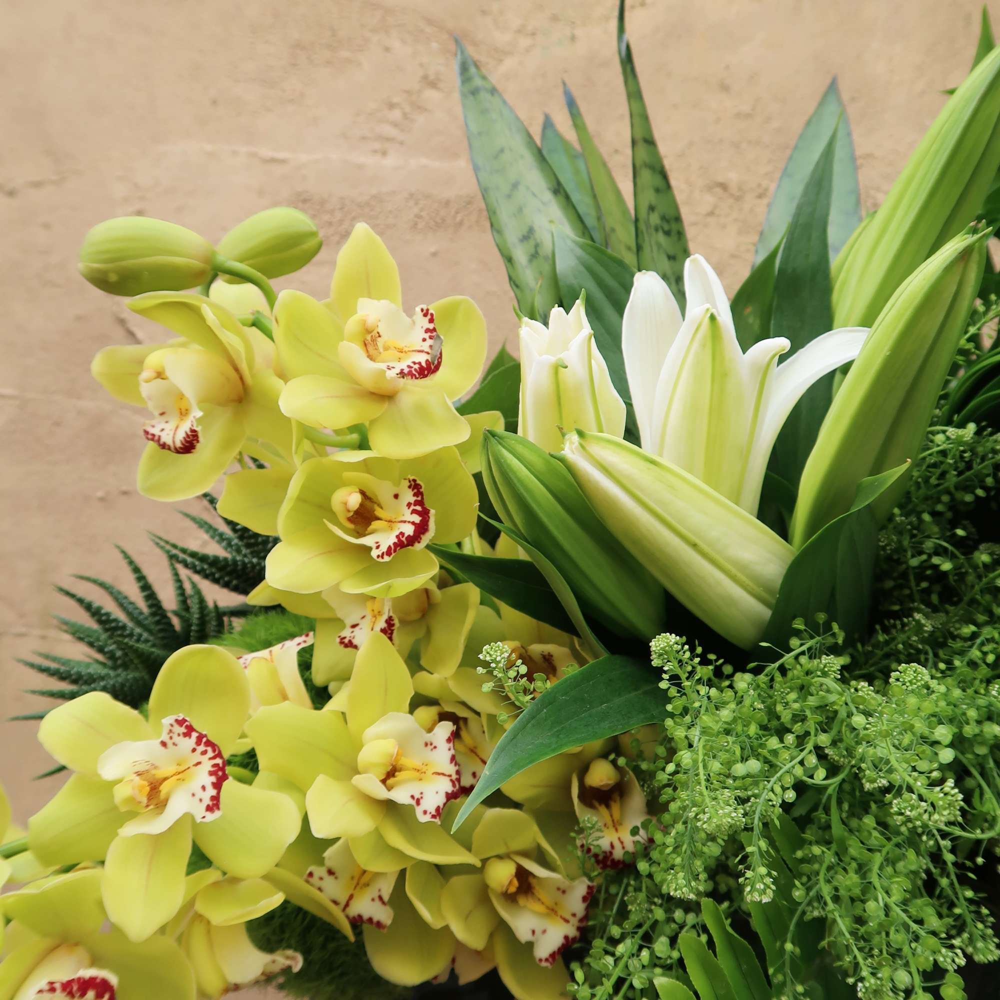 An elegant arrangement of greens, orchids and Lillies, perfect for all occasions.