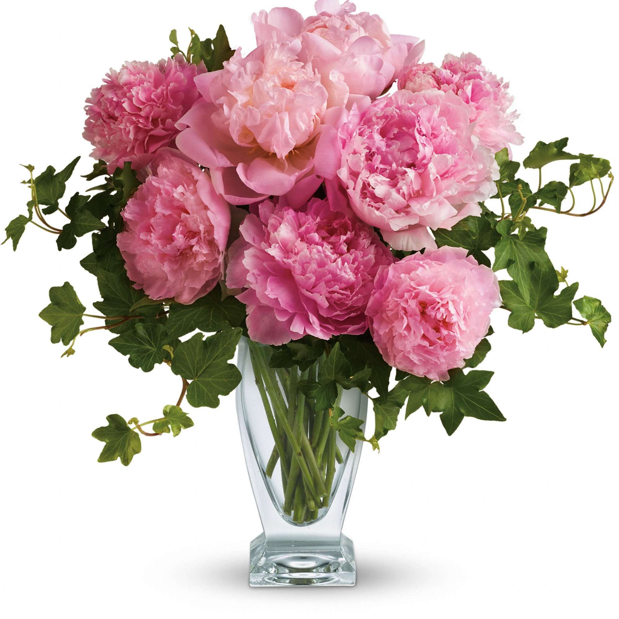 Pink peonies in a clear glass vase with trailing ivy