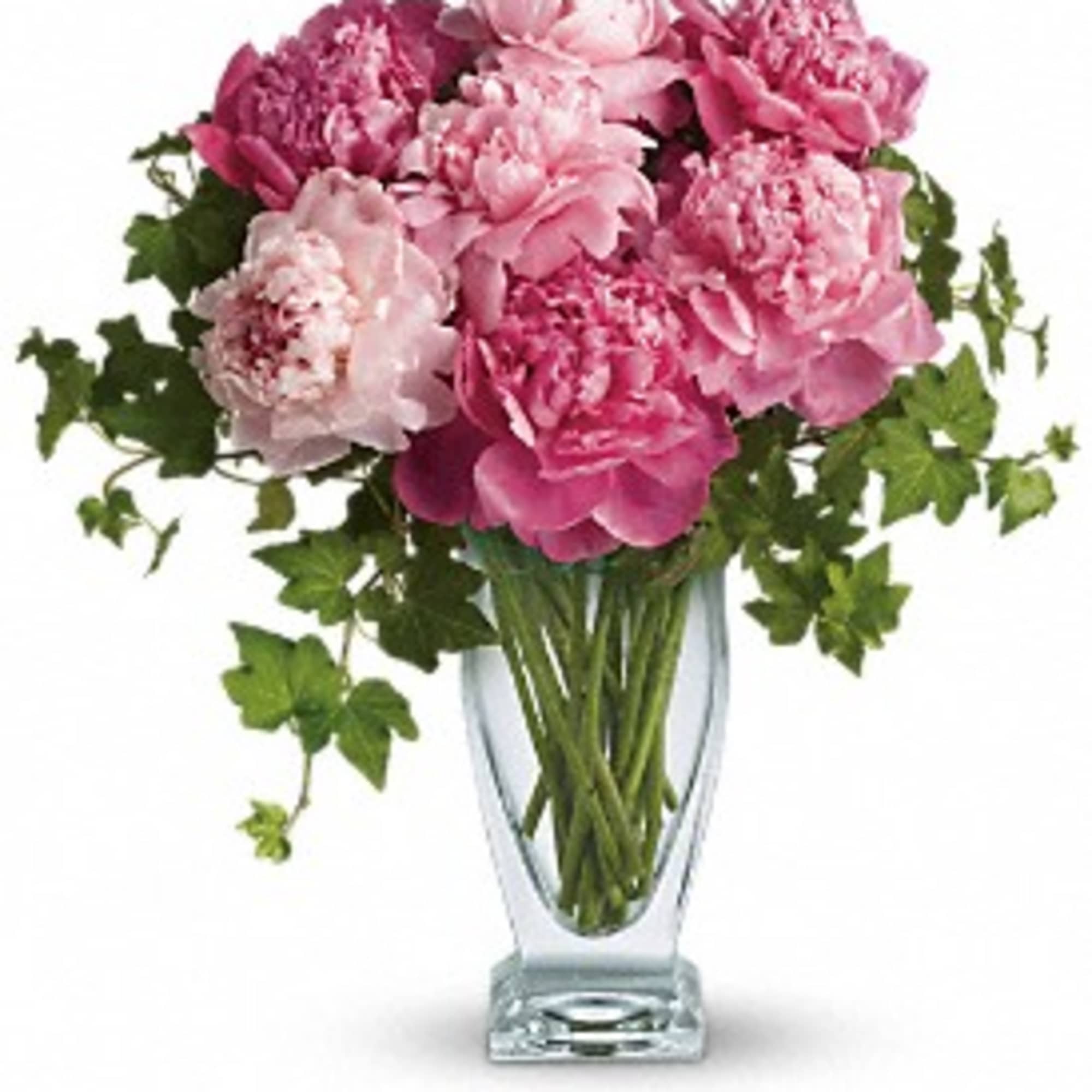 Pink peonies in a clear glass vase with trailing greenery