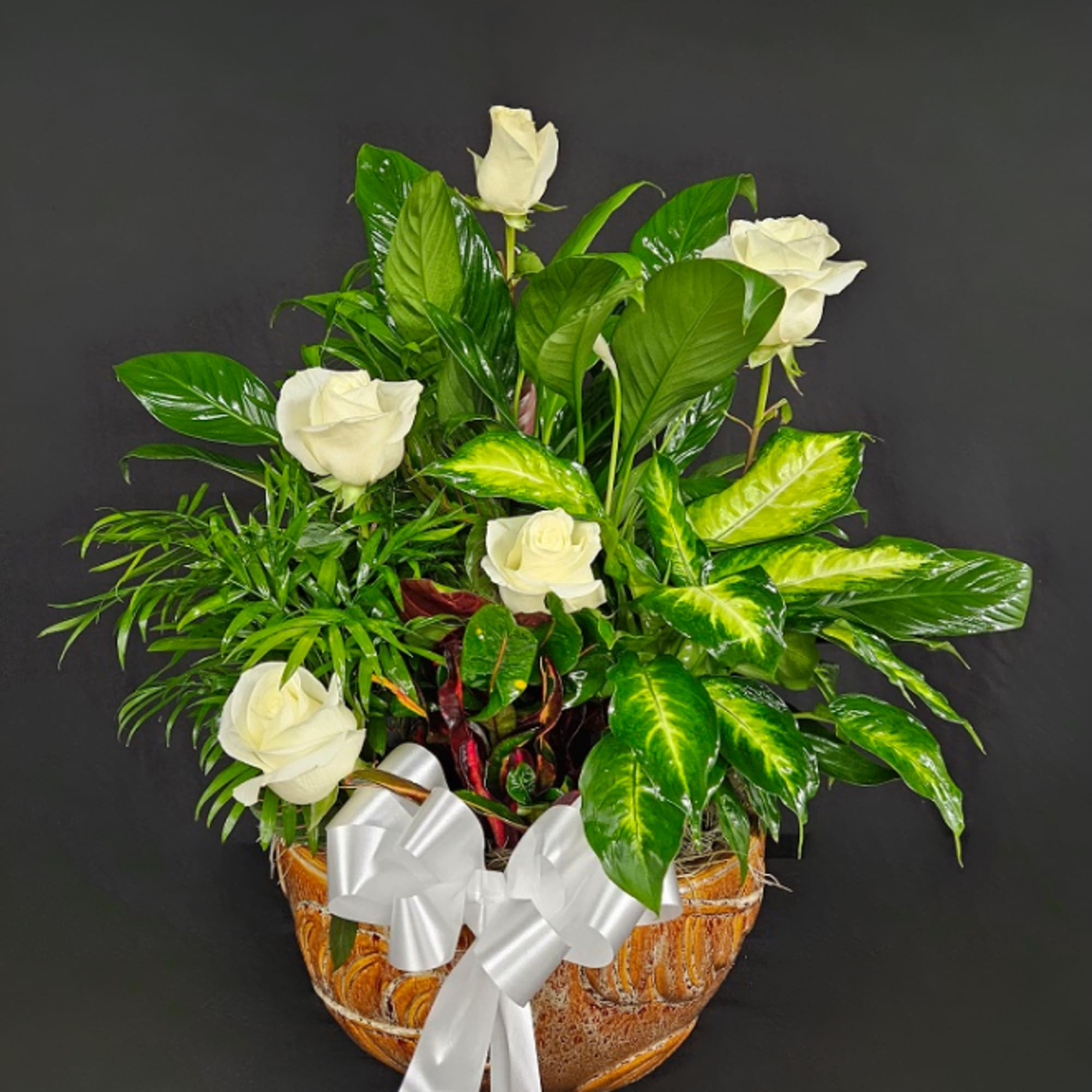 White roses in a decorative basket with a white ribbon