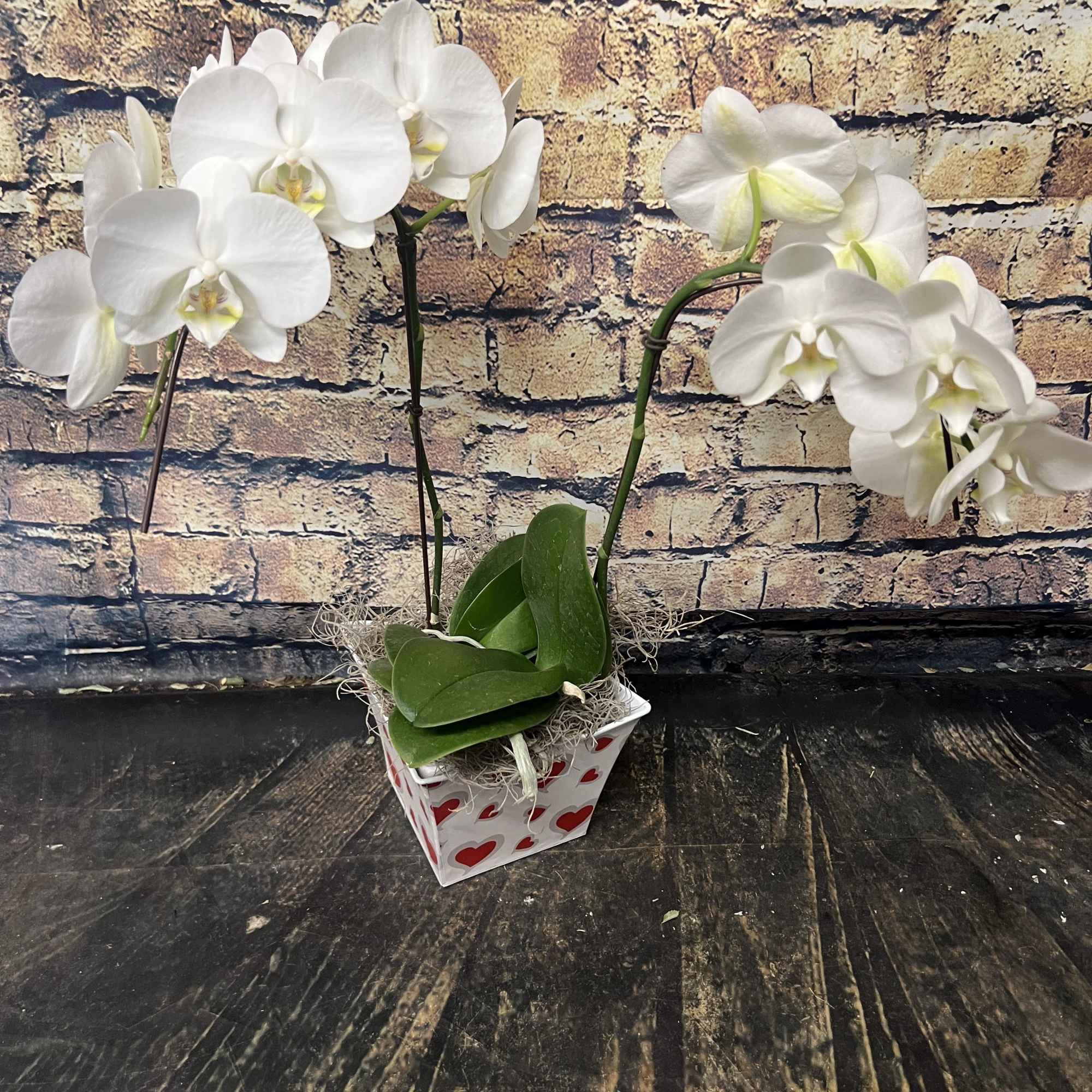White orchid plant in a heart-patterned square pot