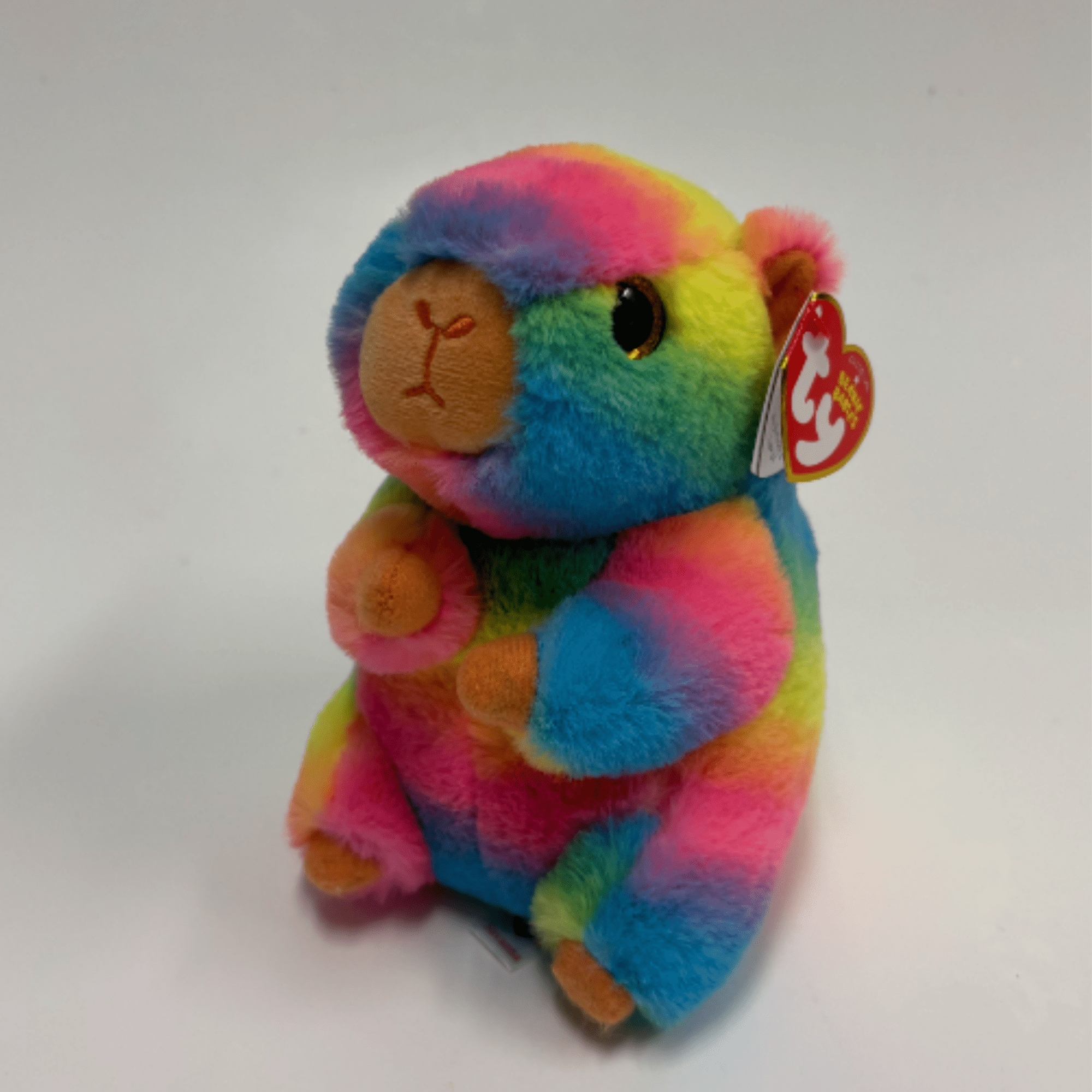 TY - SAVANNA CAPYBARA