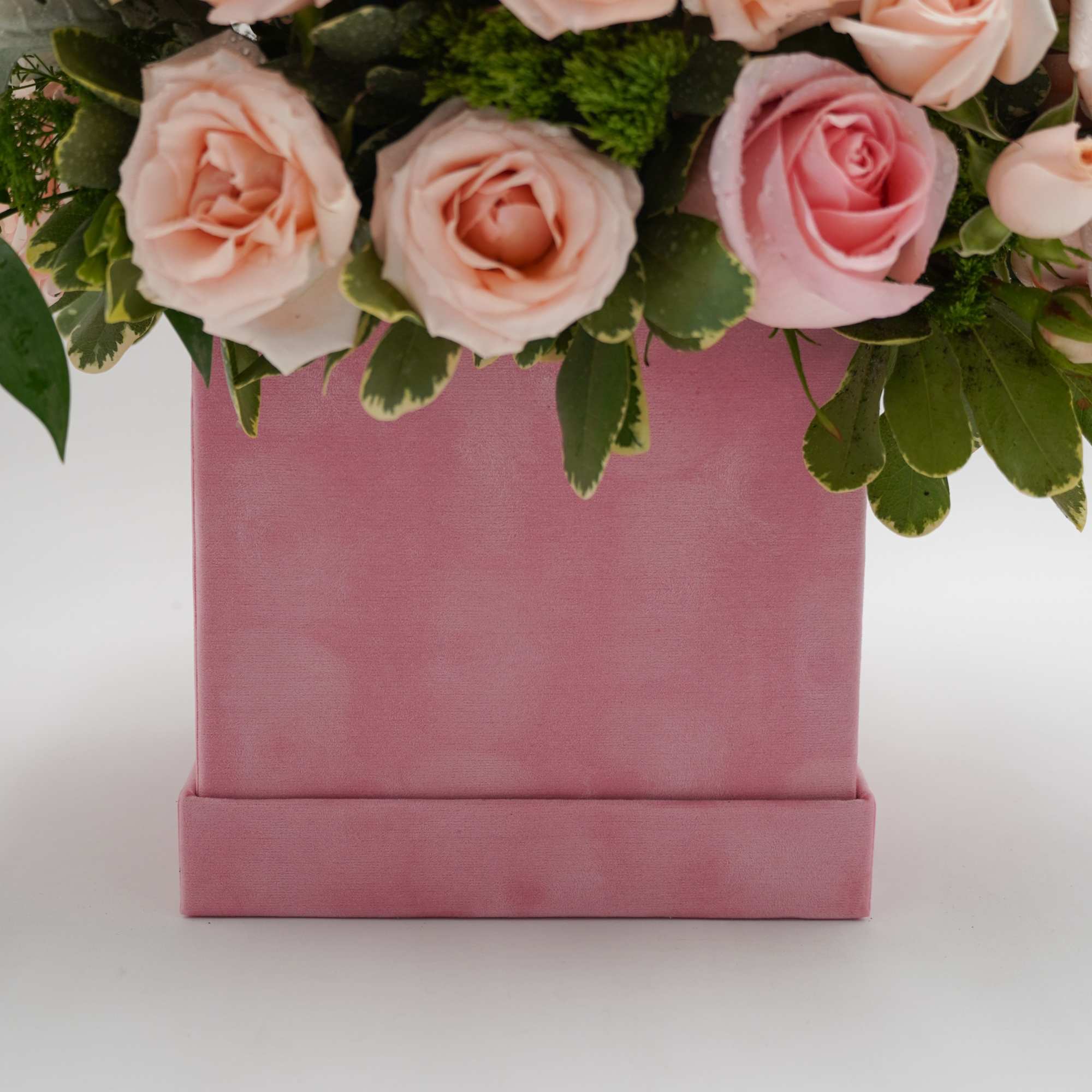 Pink roses arranged in a pink box