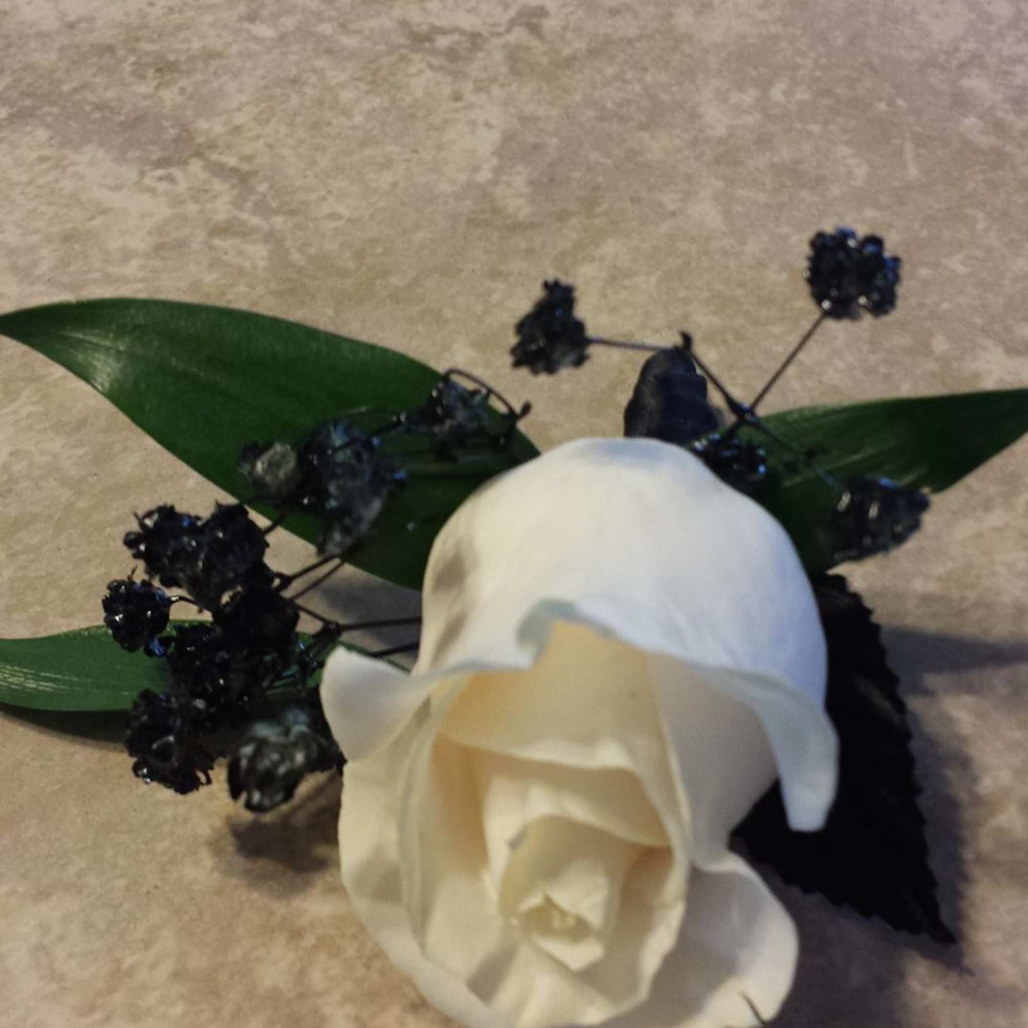 White rose with dark berry-like accents and green leaves