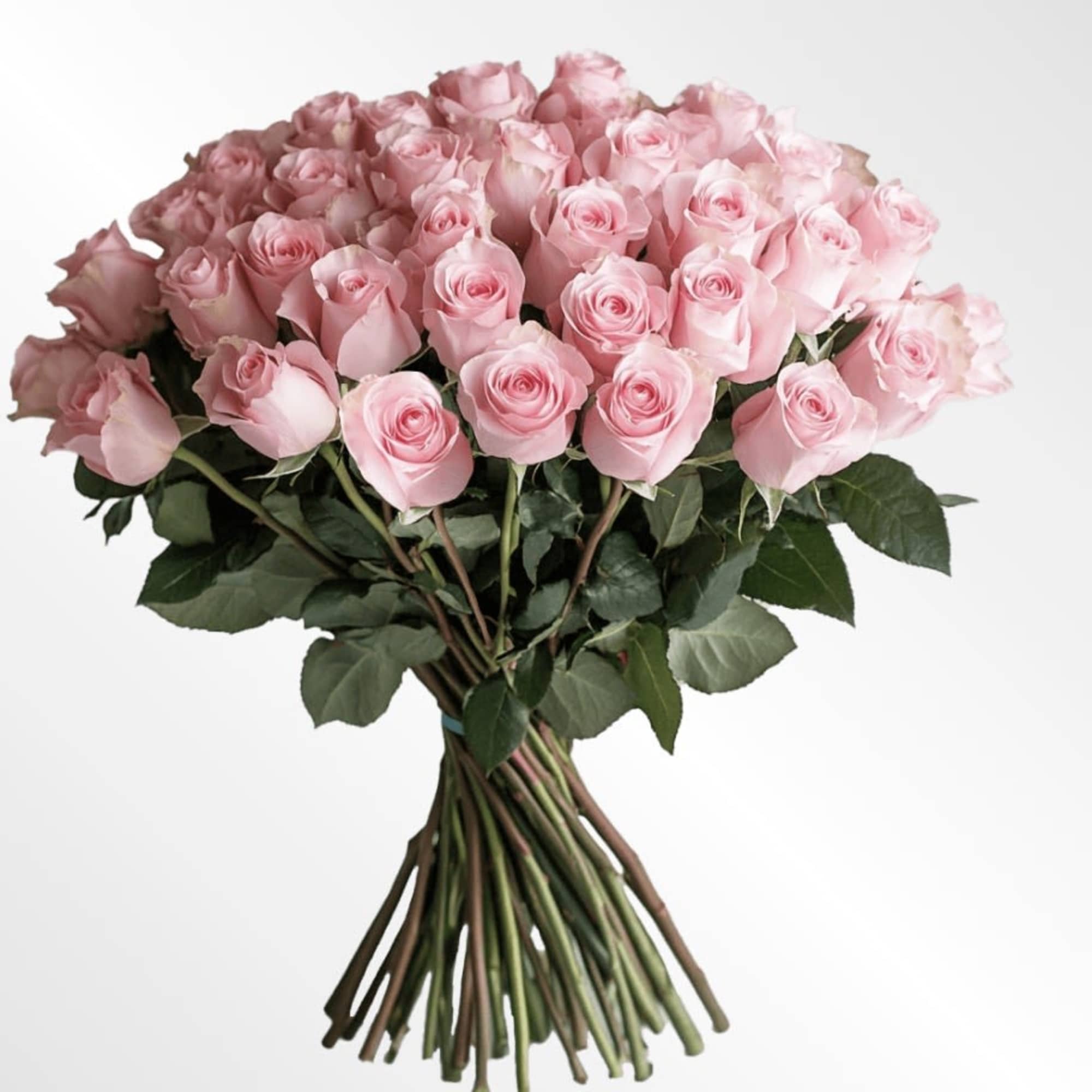 Delicate, elegant, and timeless &mdash; the Blush Whisper Bouquet features 12 soft