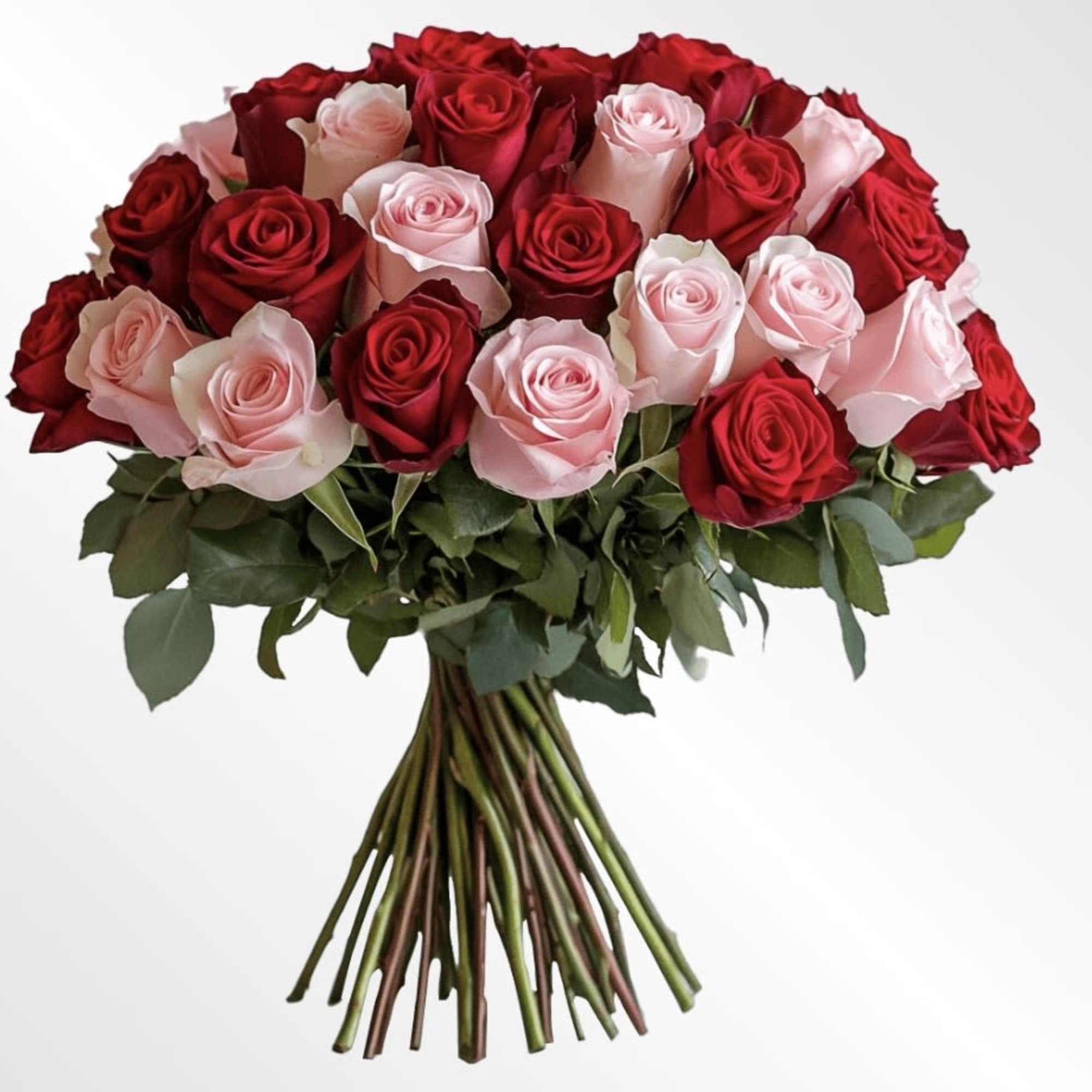A romantic blend of passion and grace, this hand-tied bouquet brings together