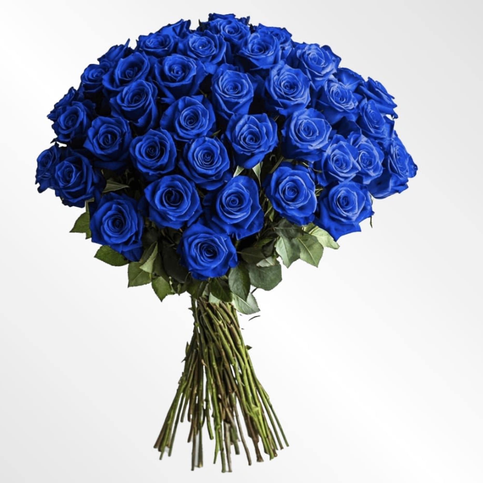 Dramatic and unforgettable, this hand-tied bouquet showcases a lush arrangement of vivid