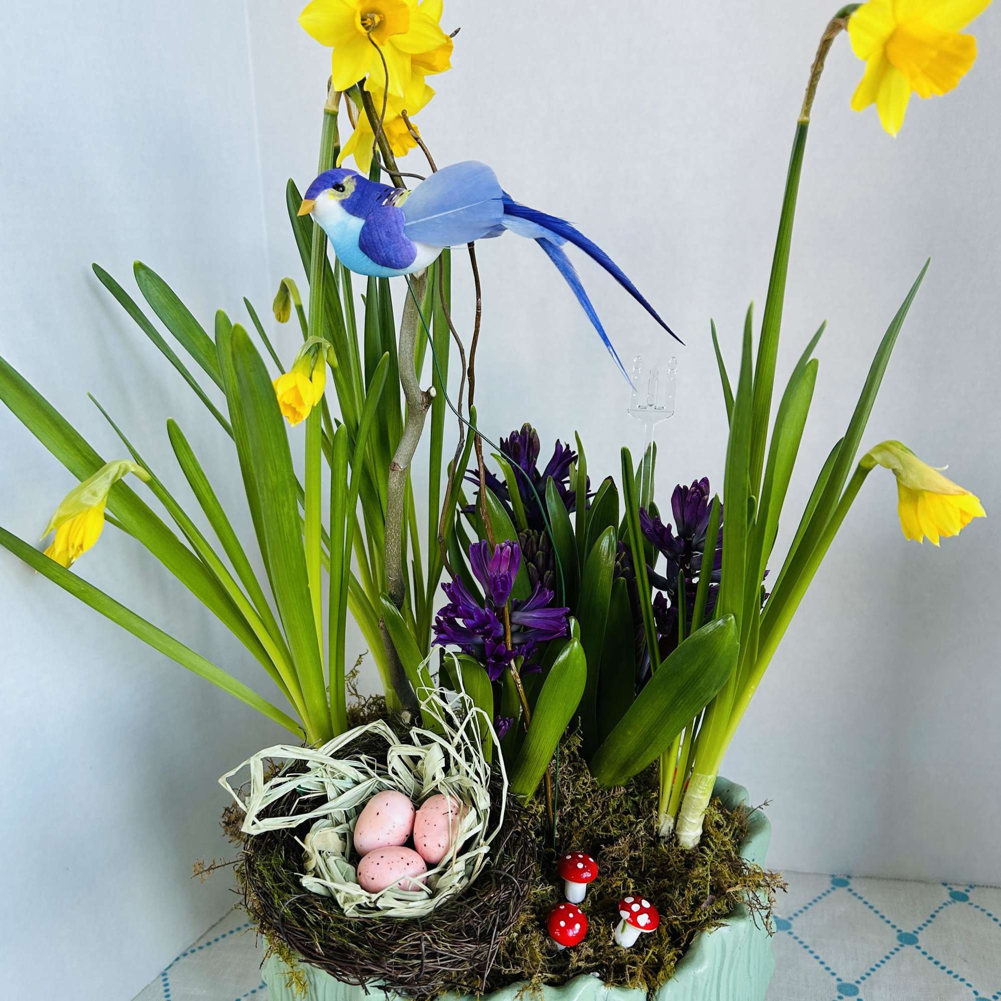 Our bulb gardens contain stems of tulips, daffodils, crocus, and hyacinth. Send