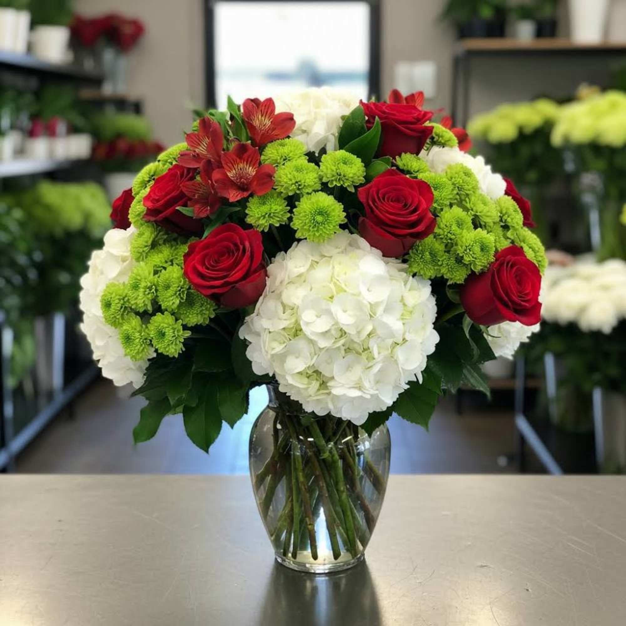 A rounded cluster of velvety red roses set against clouds of crisp
