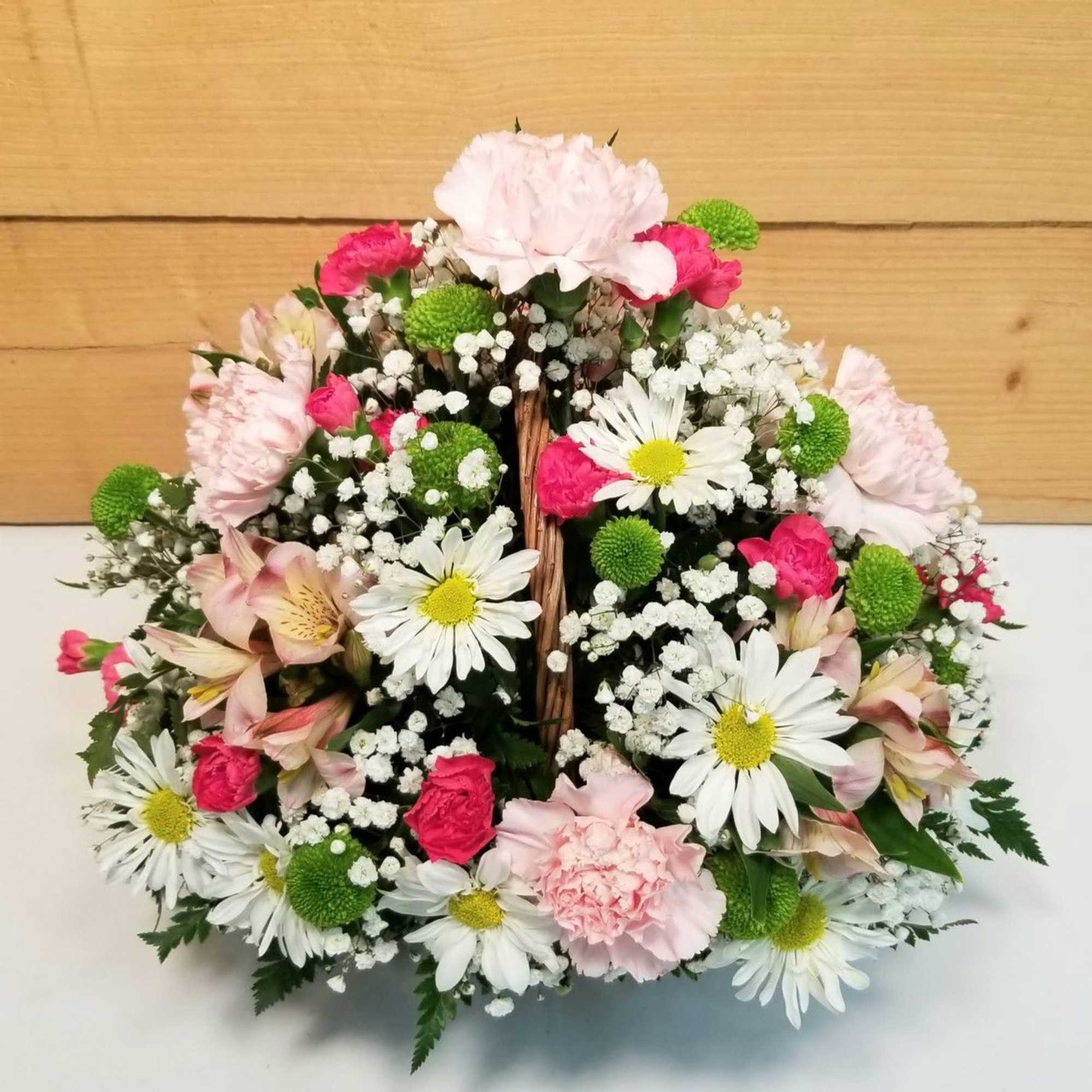 Round basket of white daisies, pink carnations, and green button mums with filler flowers.