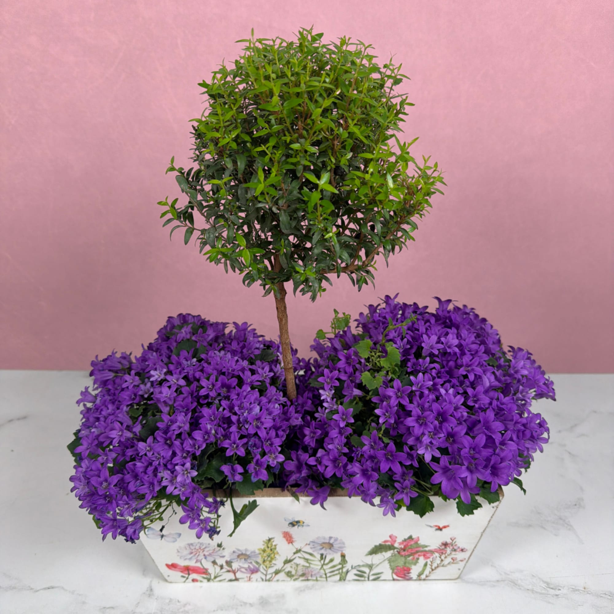 Add a touch of whimsy to your home with the Graceful Grove