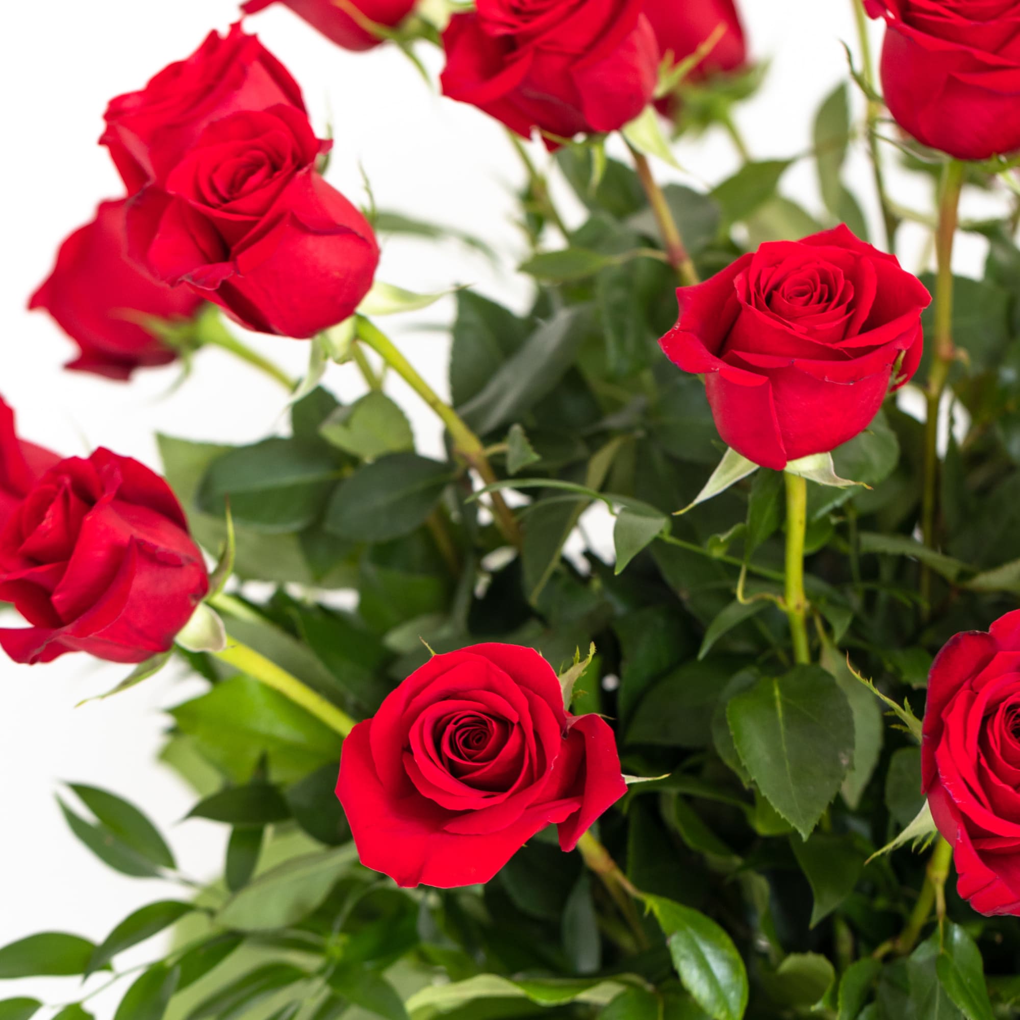 Bouquet of red roses in a clear glass vase