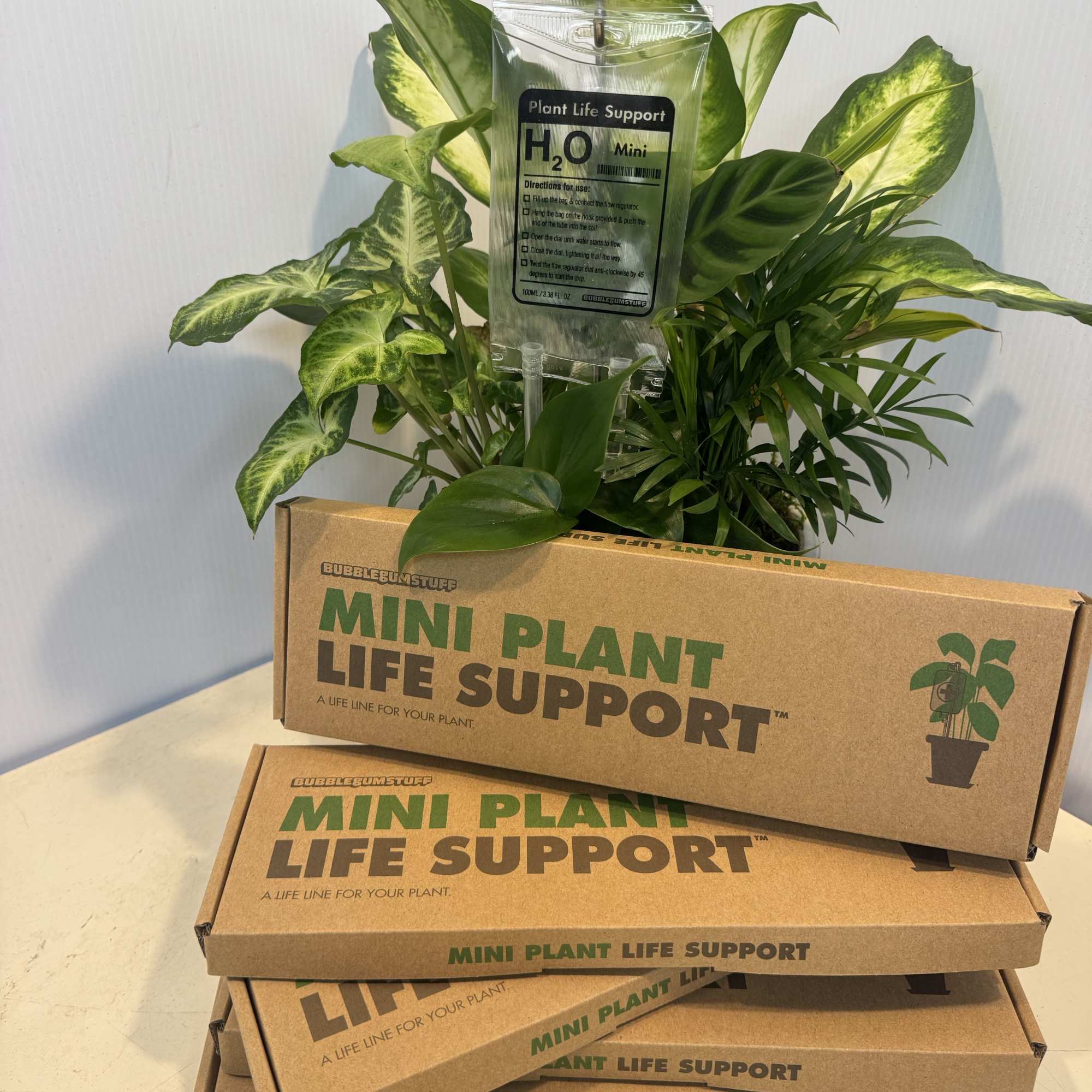 Potted houseplants with a plant care packet stacked on cardboard boxes