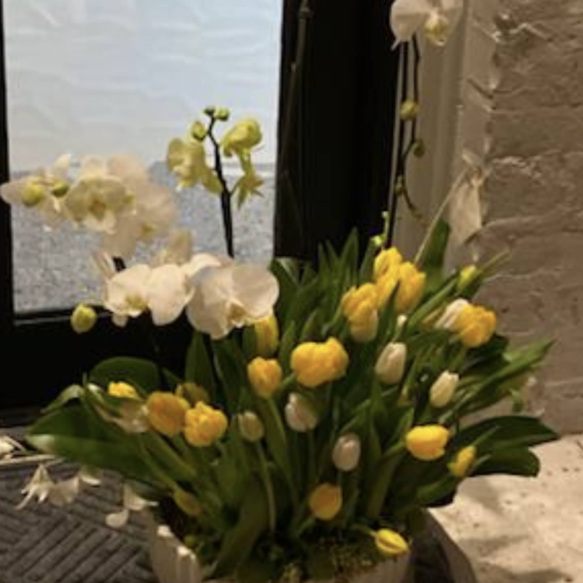 White orchids and yellow tulips arranged in a low white planter.