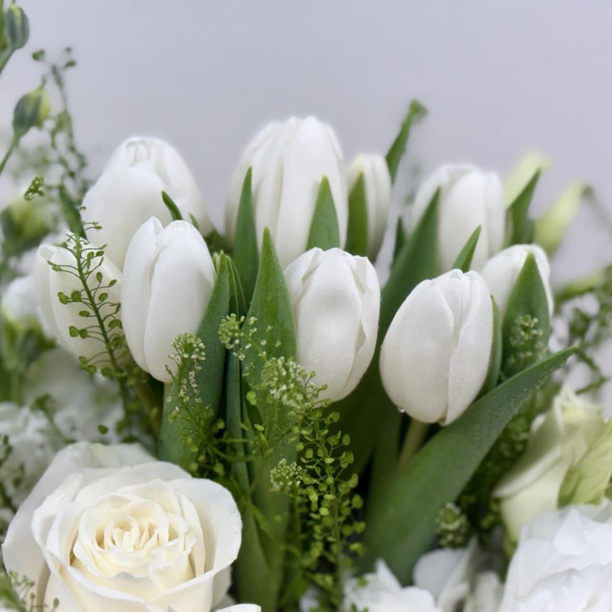 White tulips and a white rose bouquet with green accents