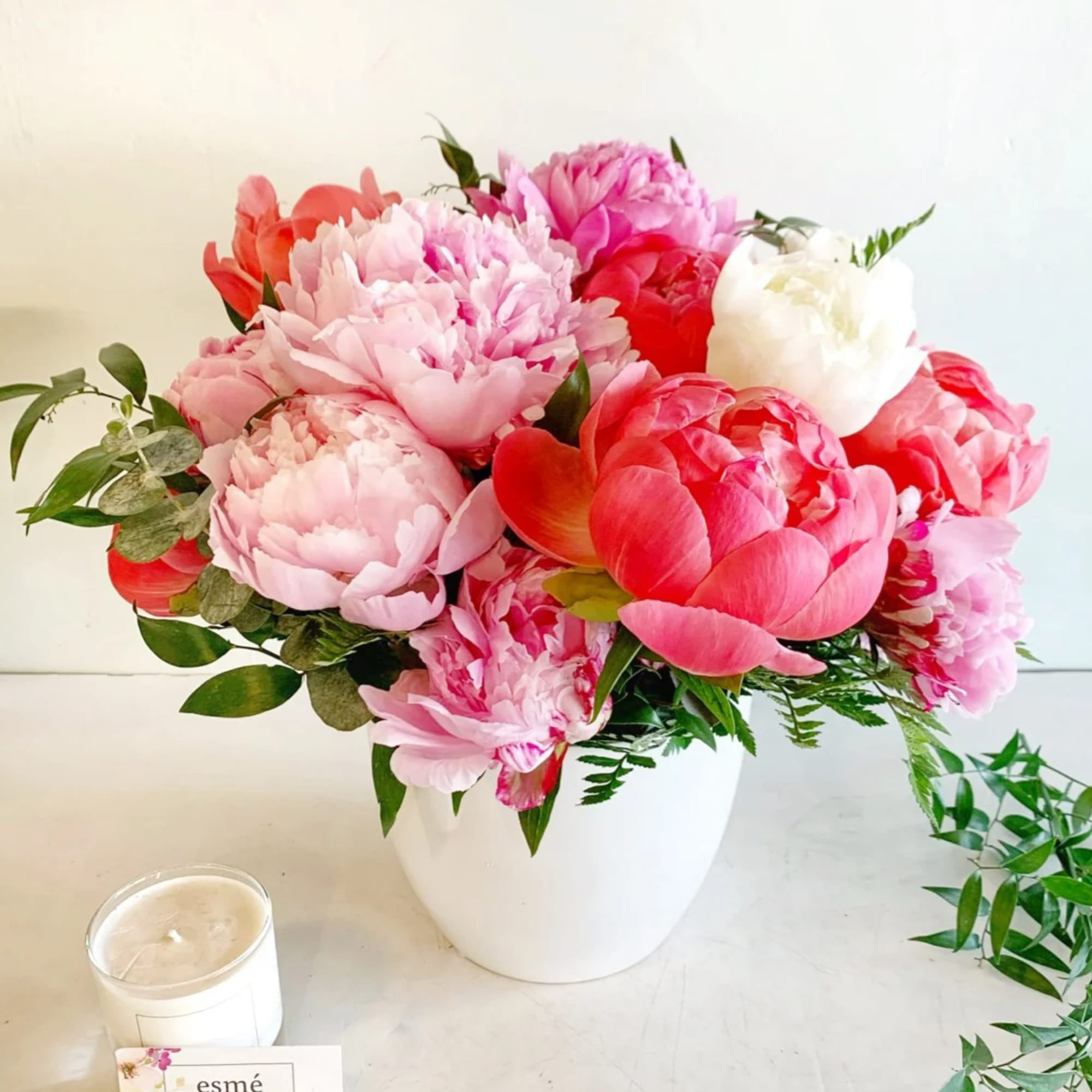Pink and white peonies arranged in a white vase