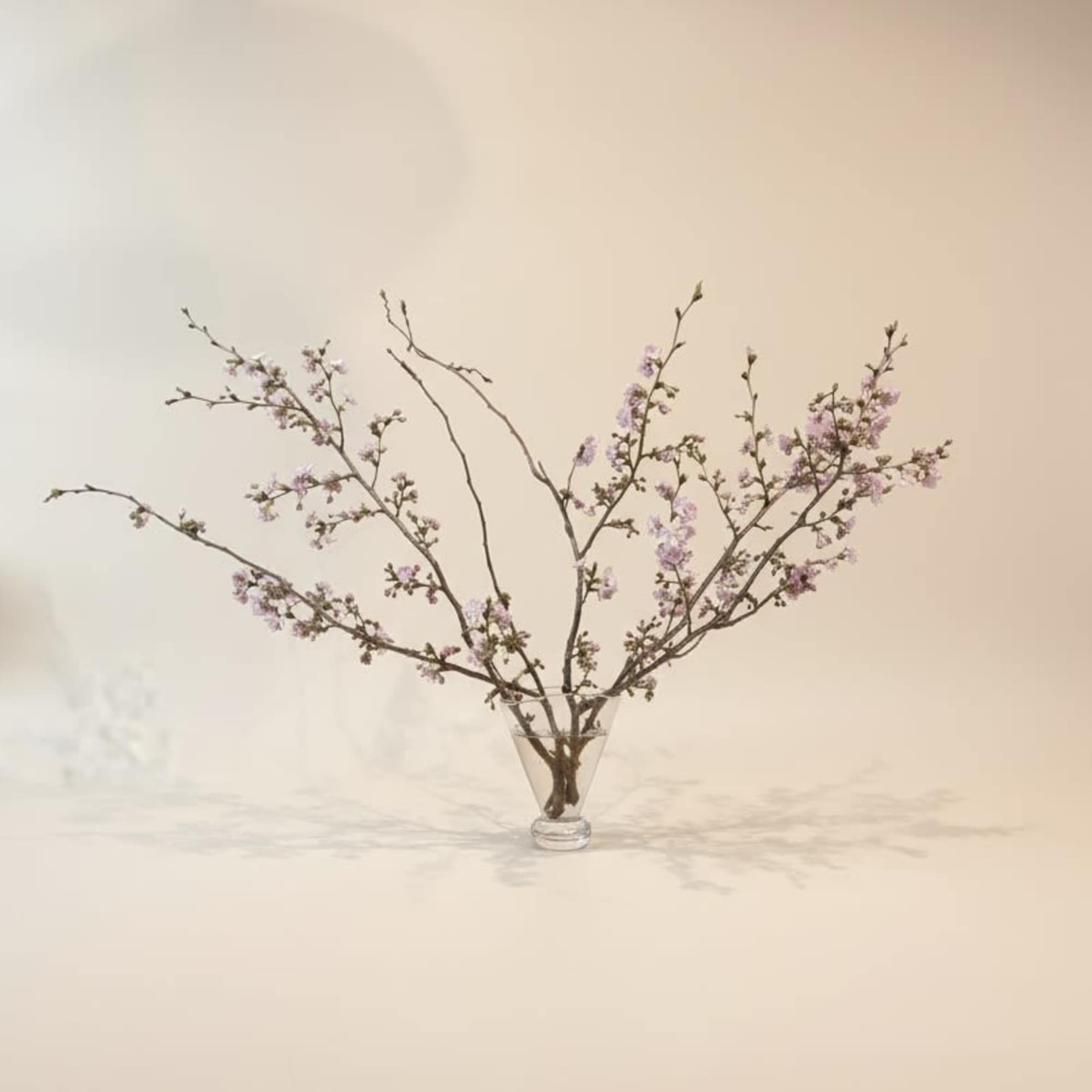 What's more springy and cheerful than a vase of cherry blossoms?! Get