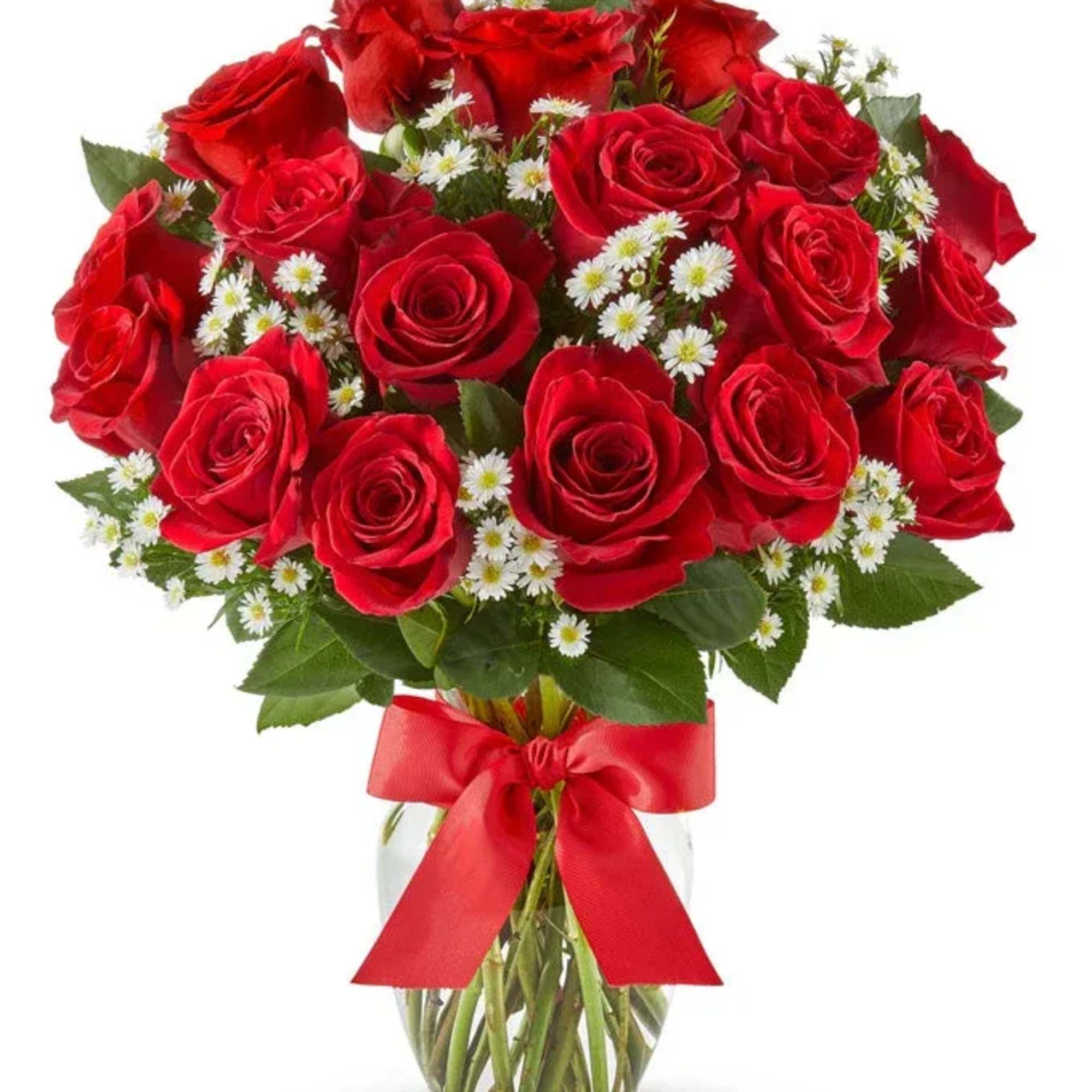 A stunning bouquet of 18 or 24  radiant red roses, complemented