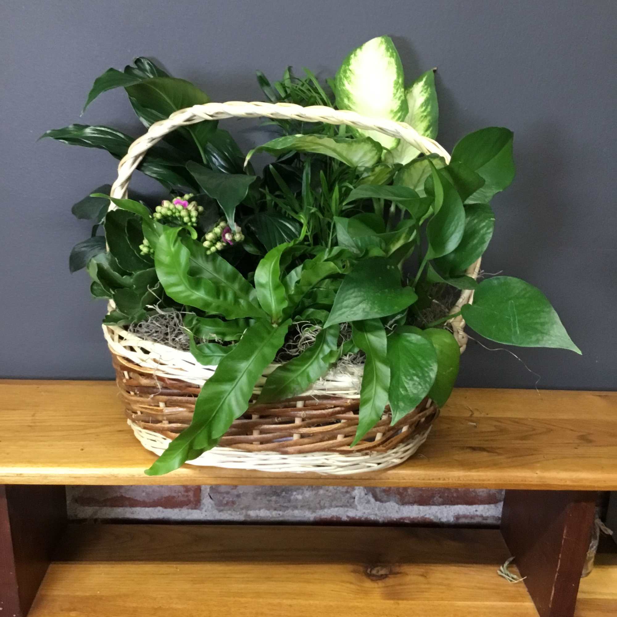 Basket of assorted green houseplants arranged in a woven handled basket on a wooden shelf.