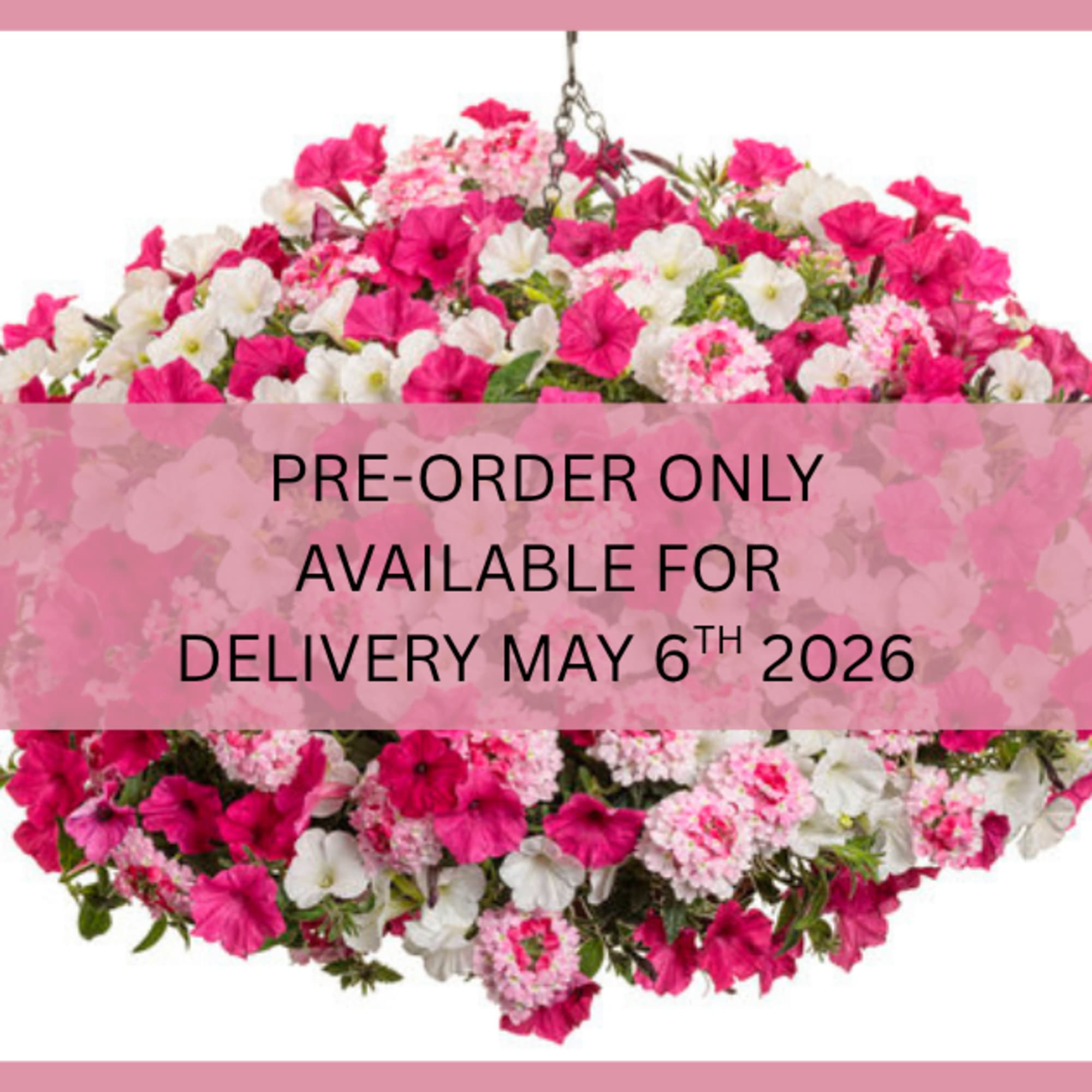 Celebrate Mom with a burst of beautiful blooms! Our Petunia Porch Pot