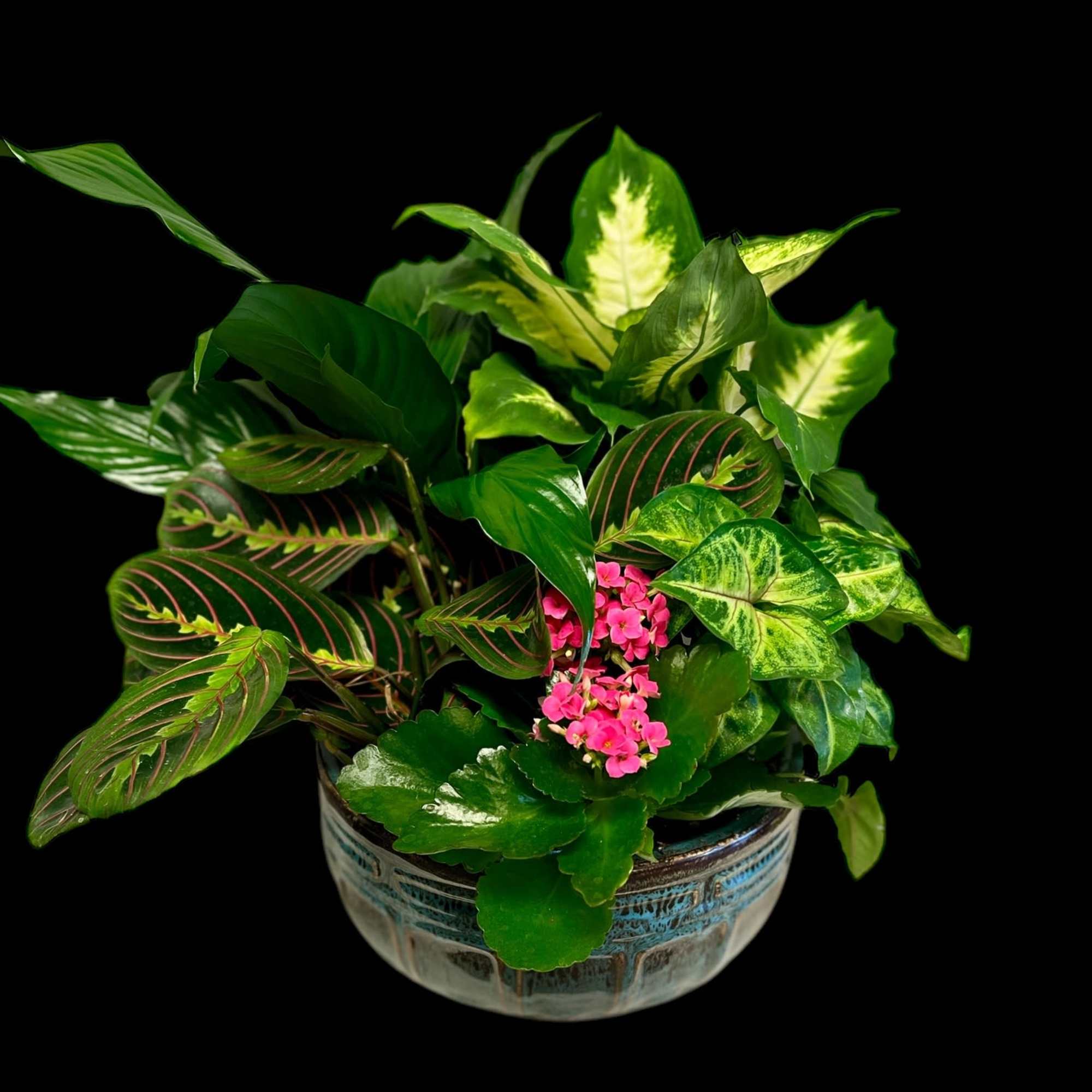 Potted tropical foliage arrangement with small pink flowers in a ceramic bowl