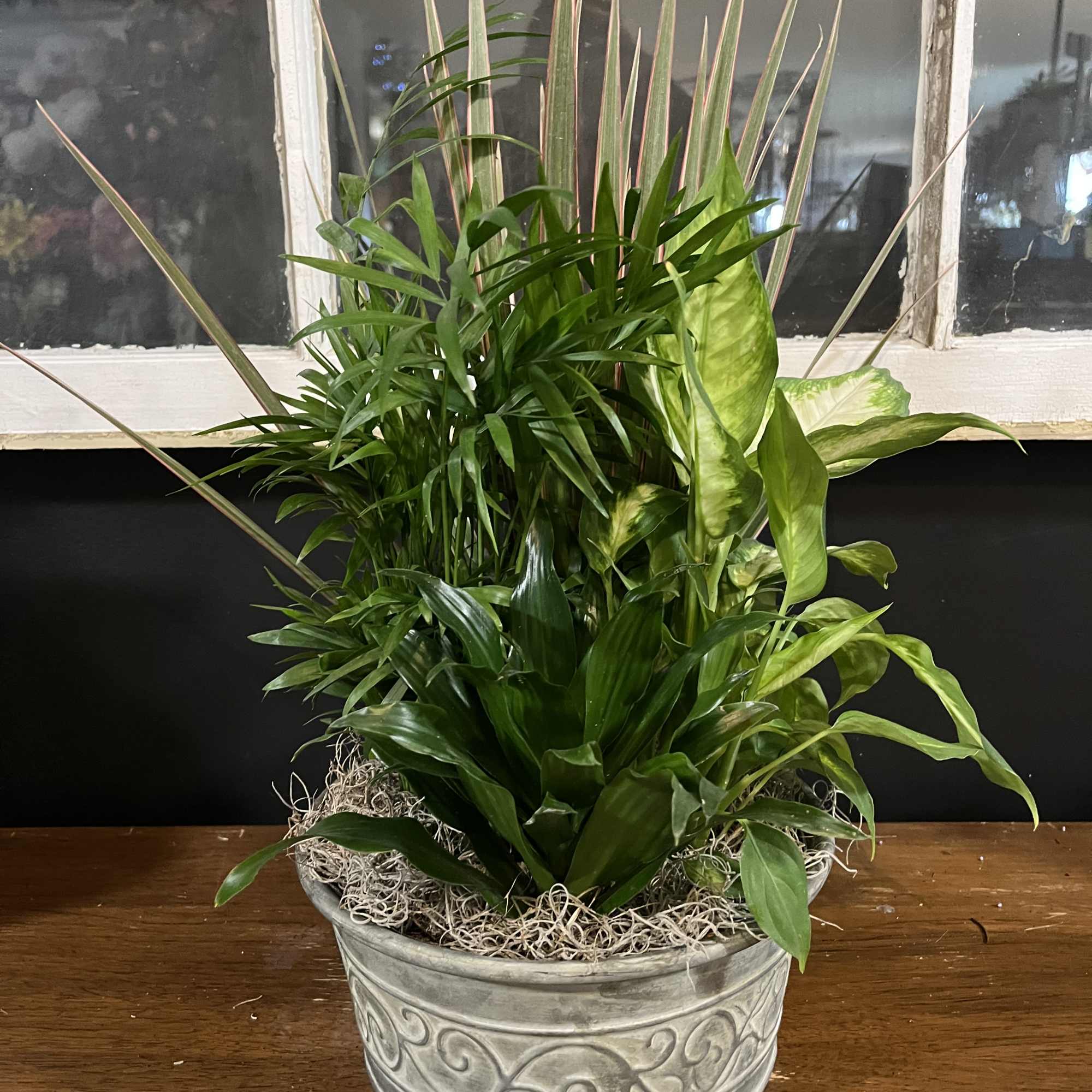 Mixed green houseplants arranged in a decorative metal planter