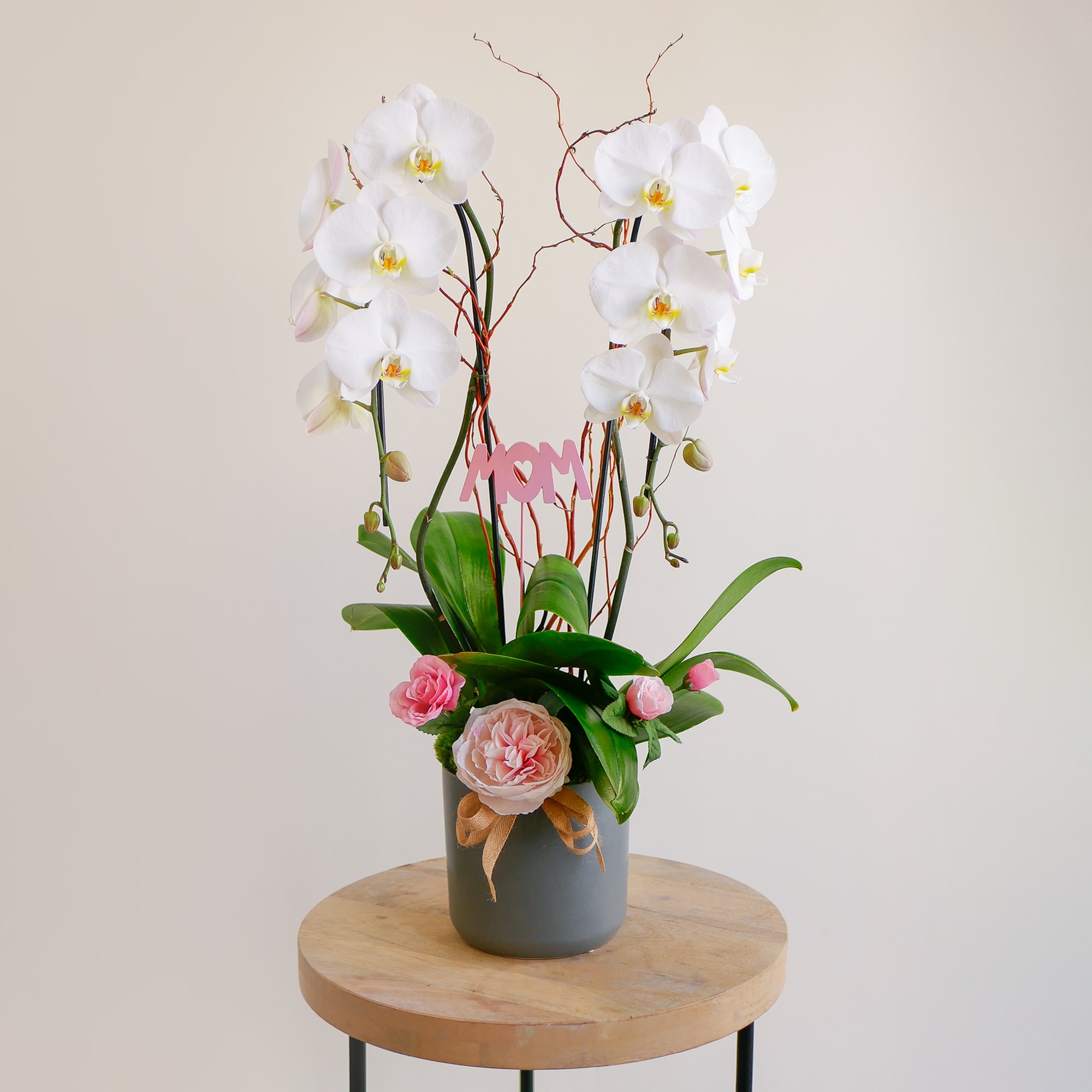 Gift Mom a long-lasting orchid plant that she will continue to love