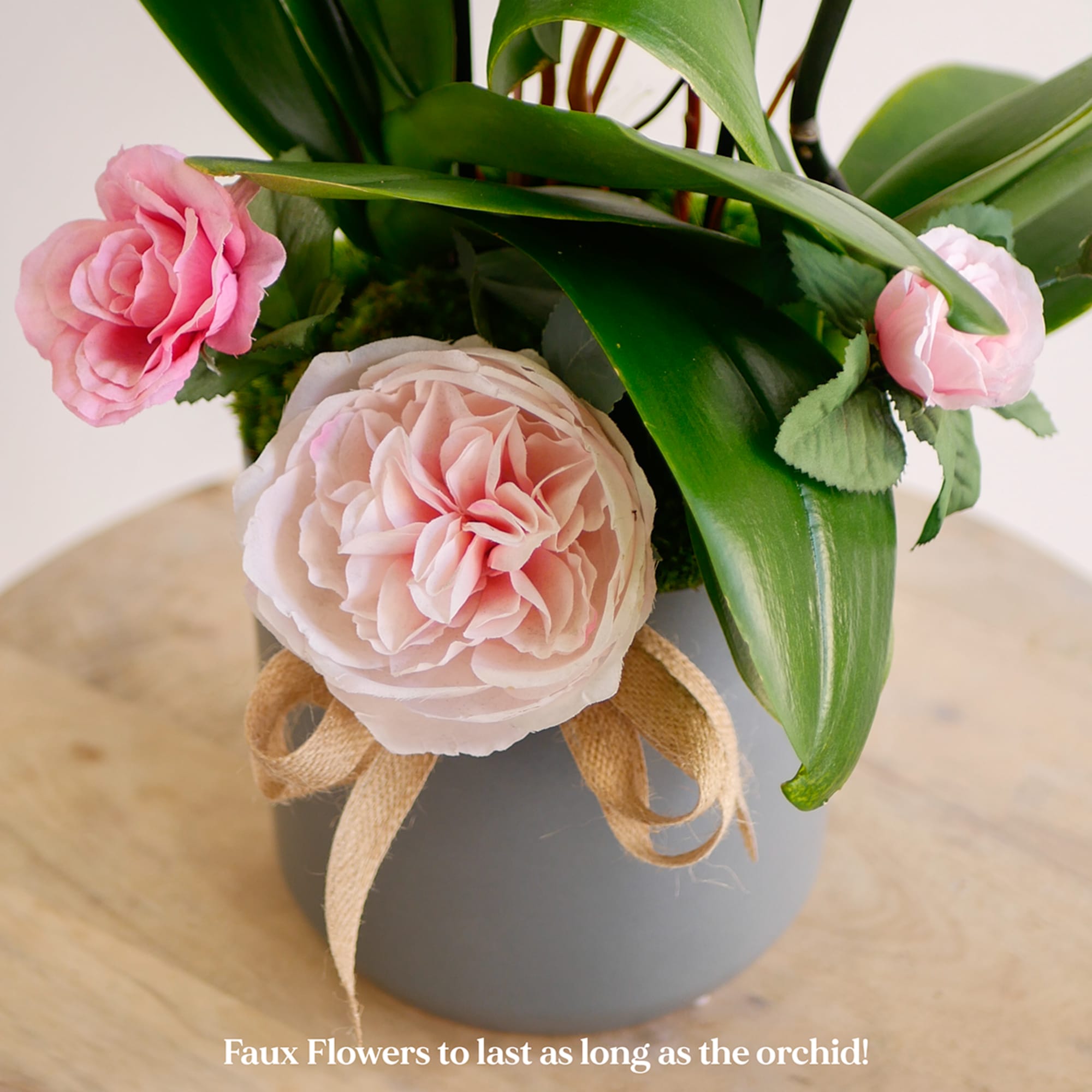 Gift Mom a long-lasting orchid plant that she will continue to love