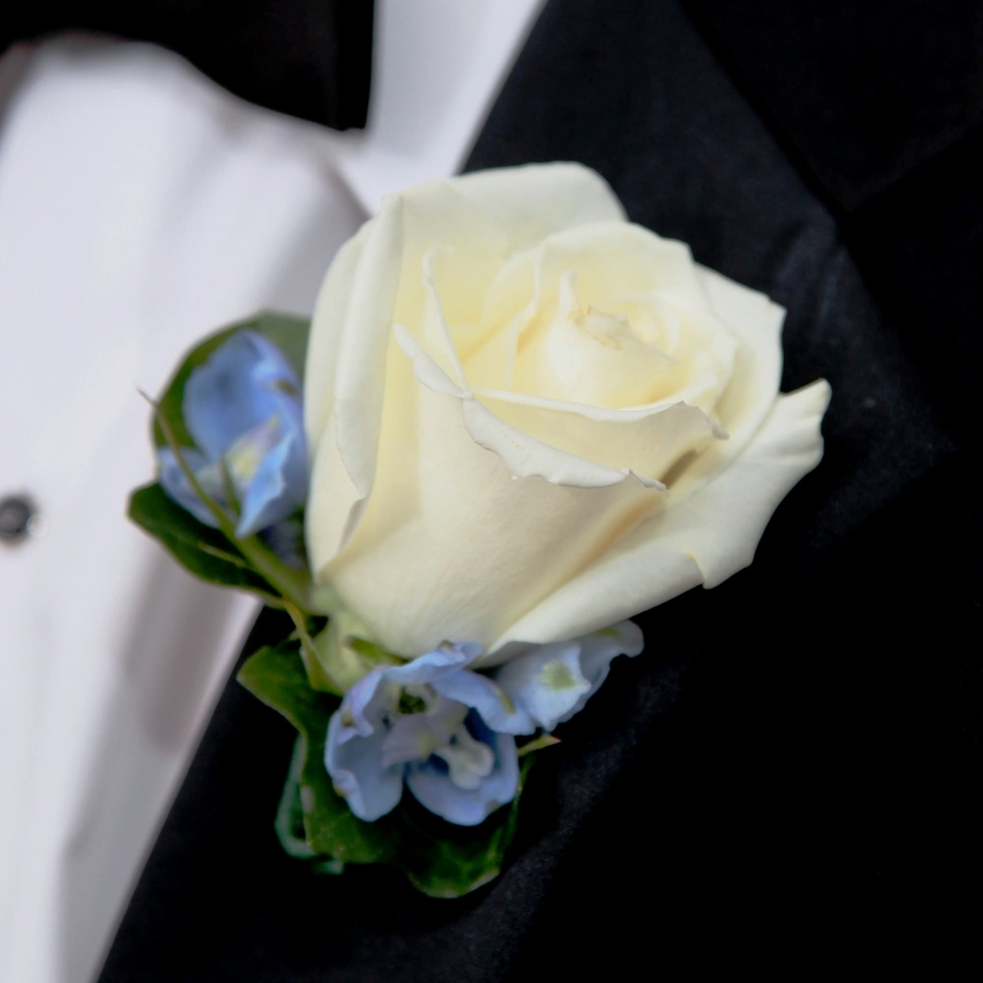 White rose boutonniere with small blue flowers on a black suit lapel