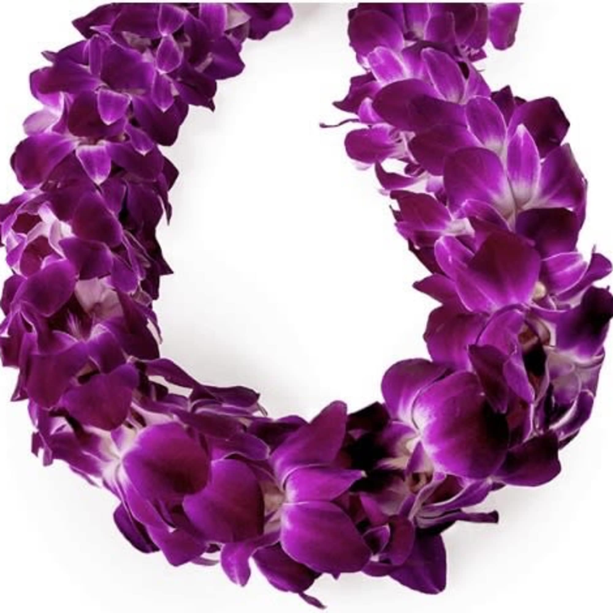 A vivid orchid lei that makes a graduate feel celebrated the moment