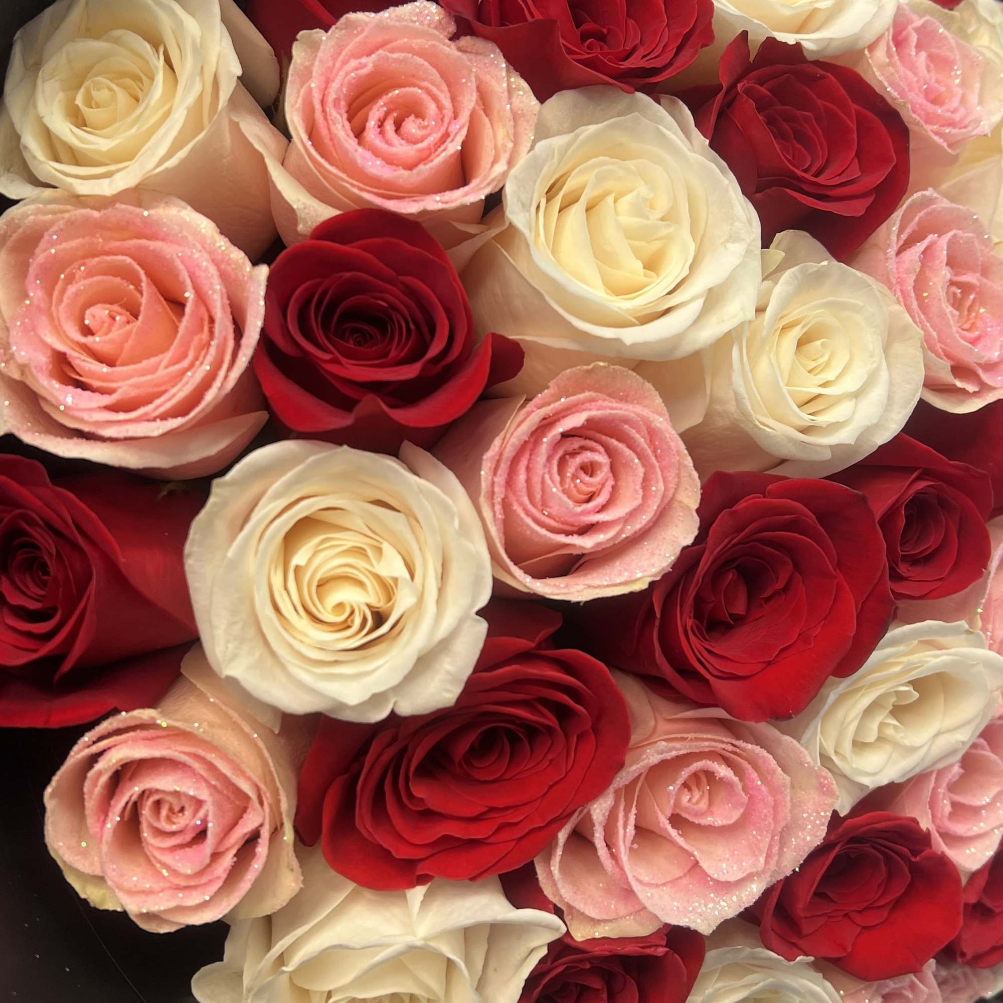 Bouquet of red, white, and pink roses in black wrapping
