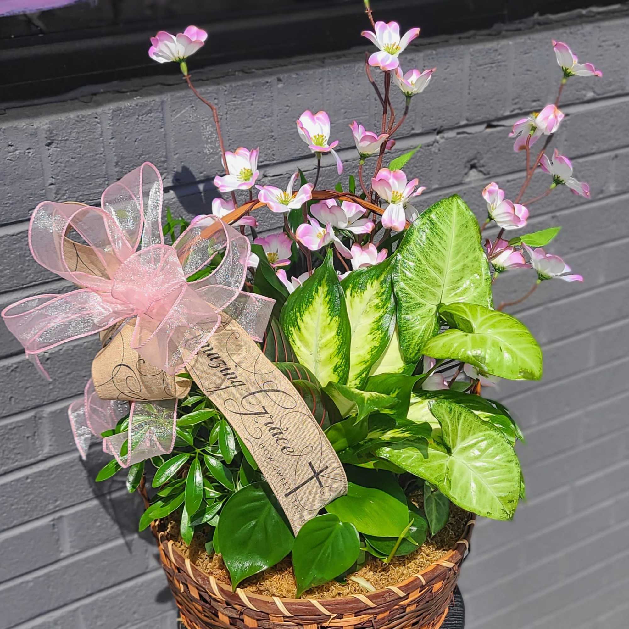 Glossy green foliage tiny with bow and blooms that spill from a