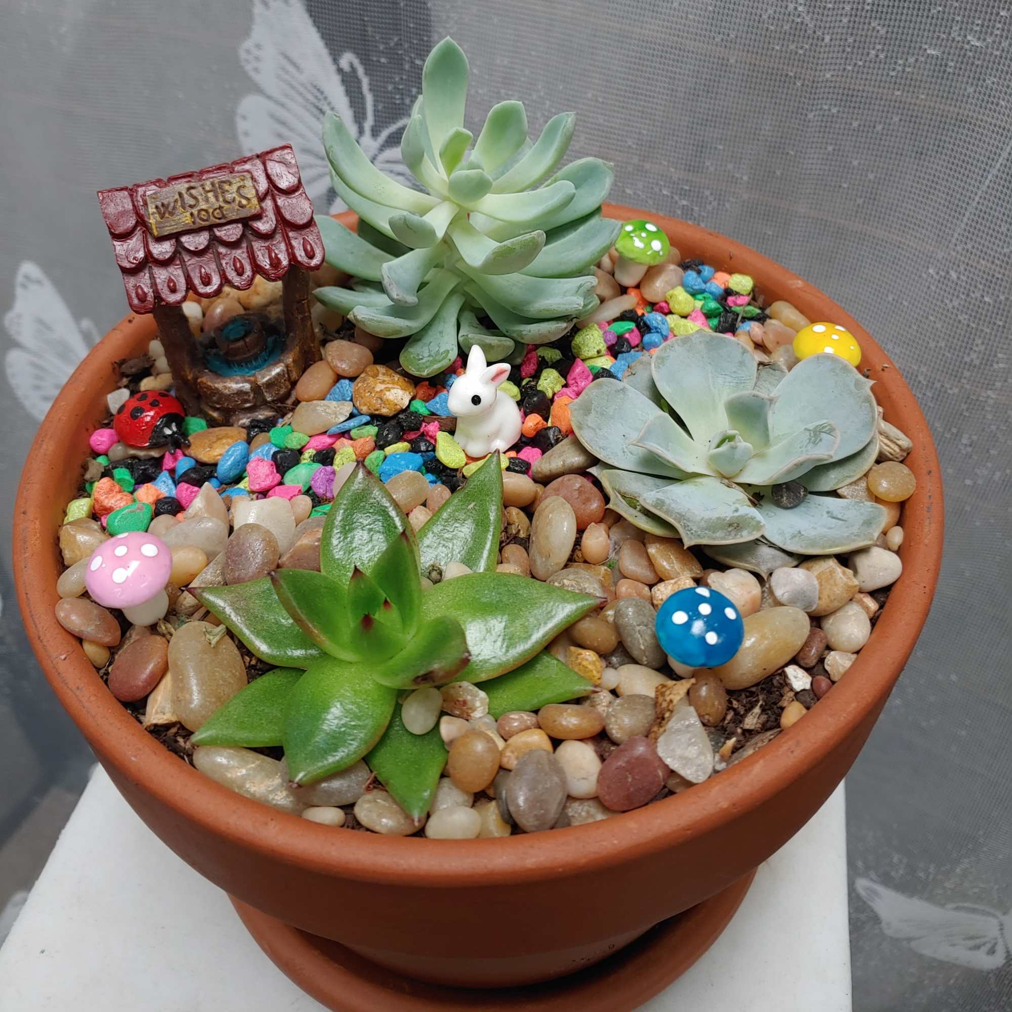 Potted succulent arrangement with decorative pebbles and small mushroom ornaments