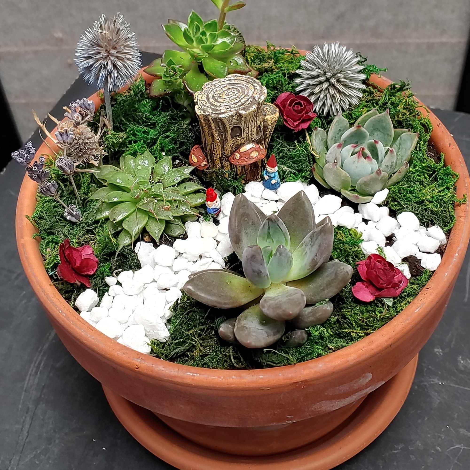 Terracotta pot with assorted succulents, moss, and small decorative figurines