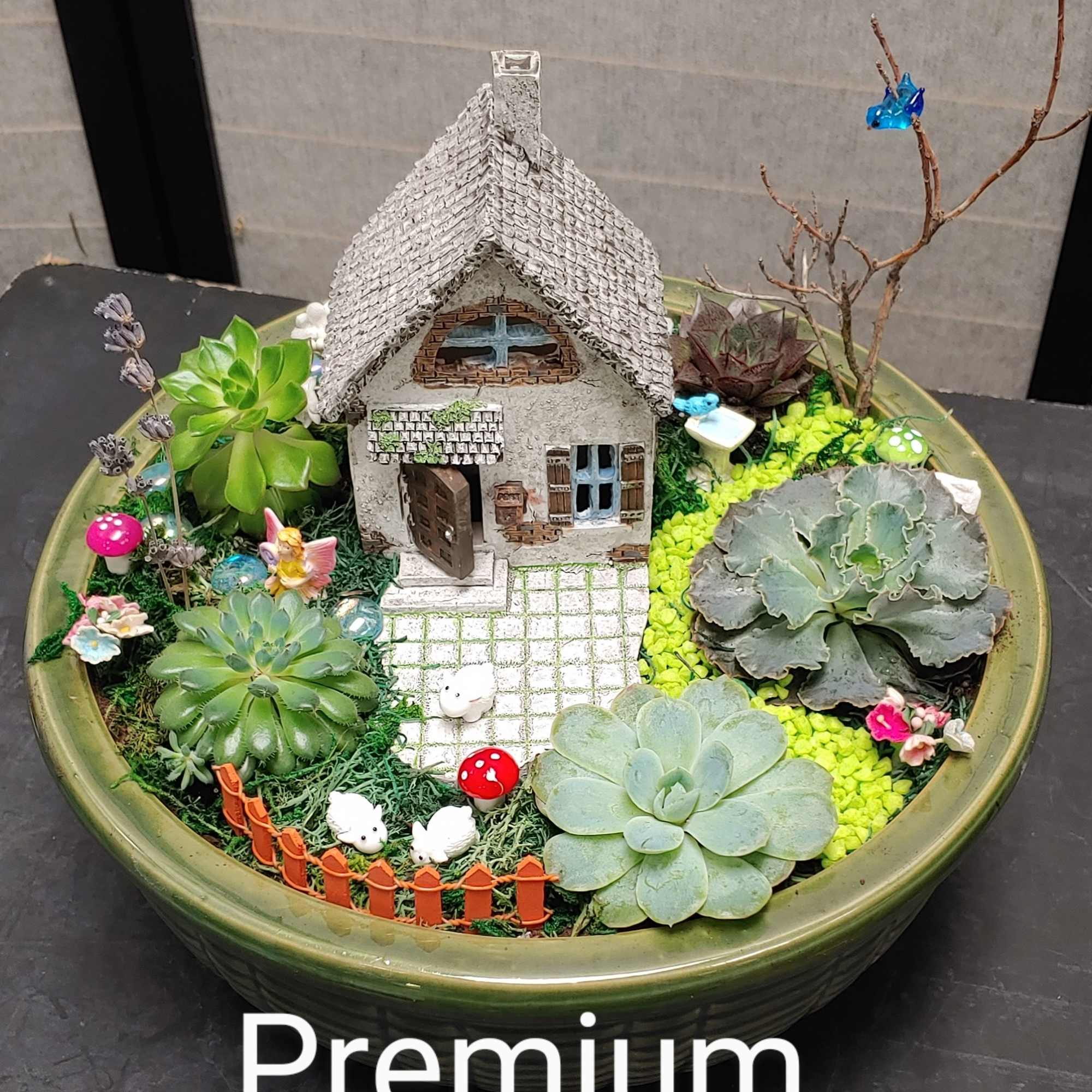 Succulent garden in a round bowl with a miniature house and tiny decorations