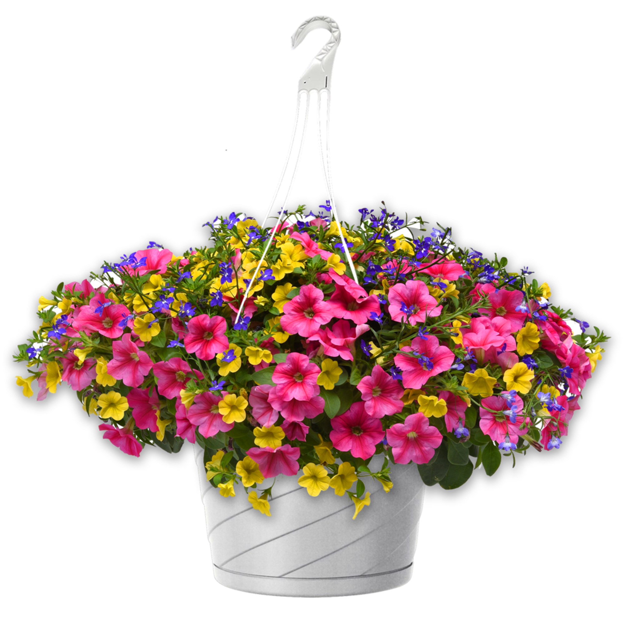 Hanging basket of pink, yellow, and purple flowers in a white container