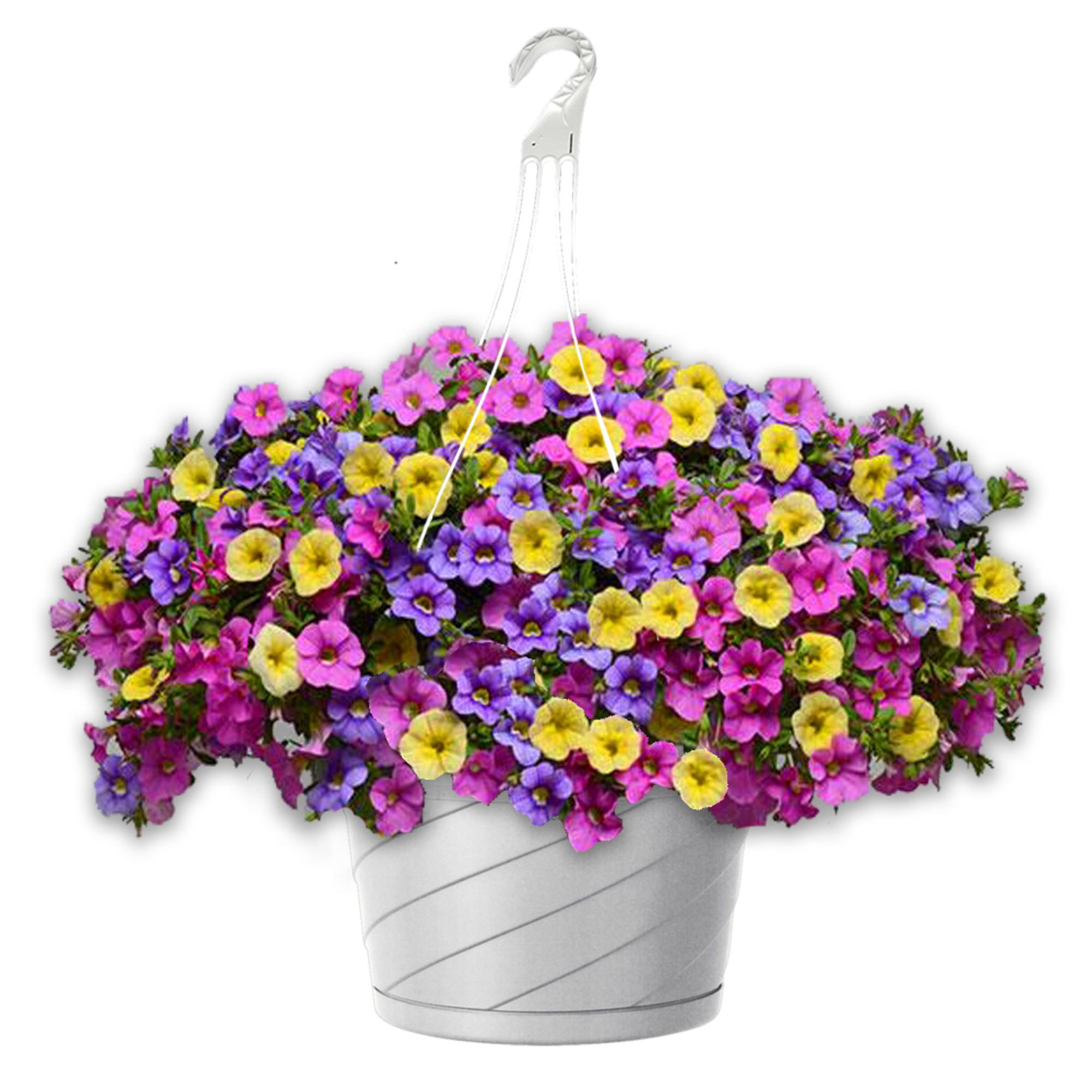 Hanging basket of multicolored petunia-like flowers in a white container