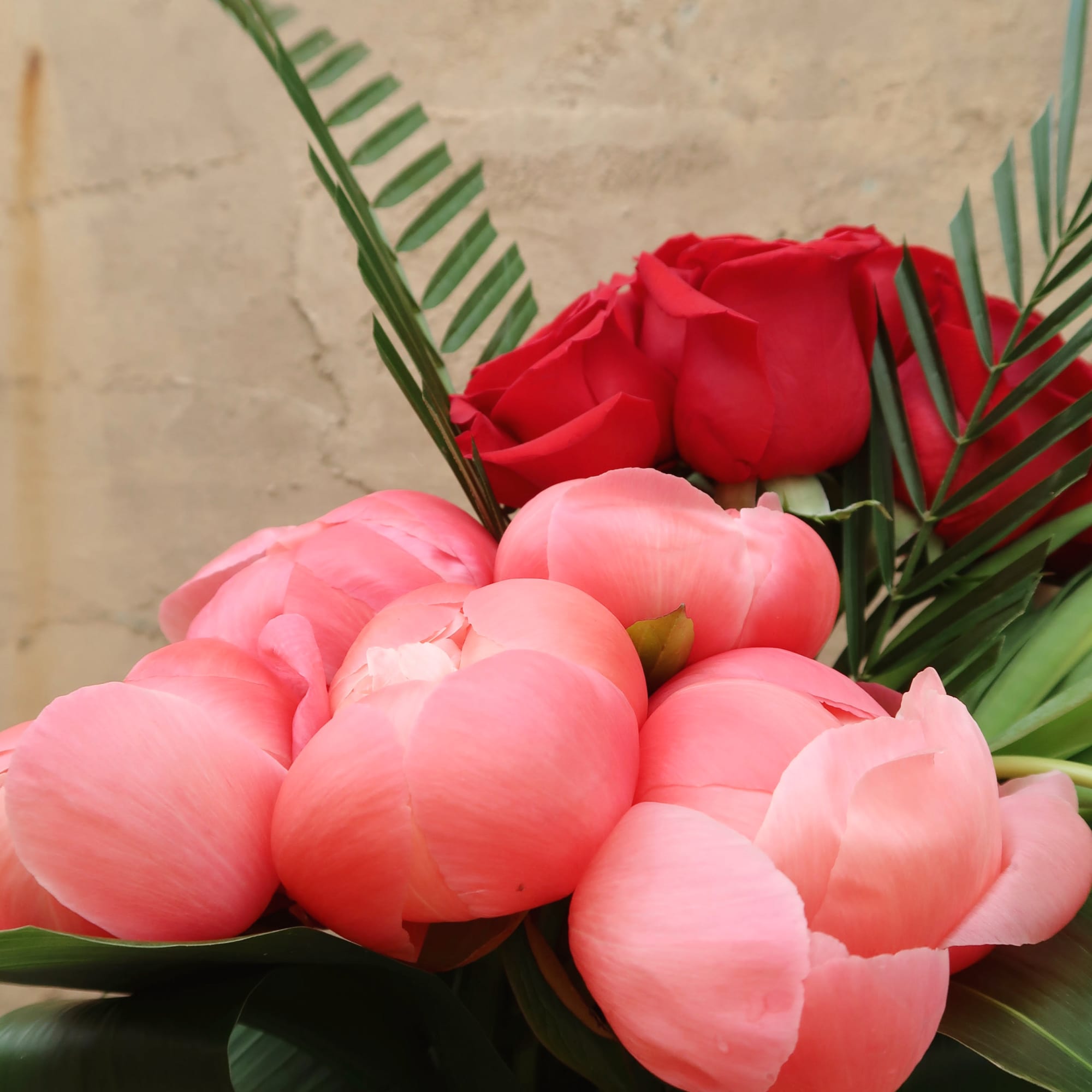 Devotion is filled with peonies, tulips, and roses elegantly arranged.