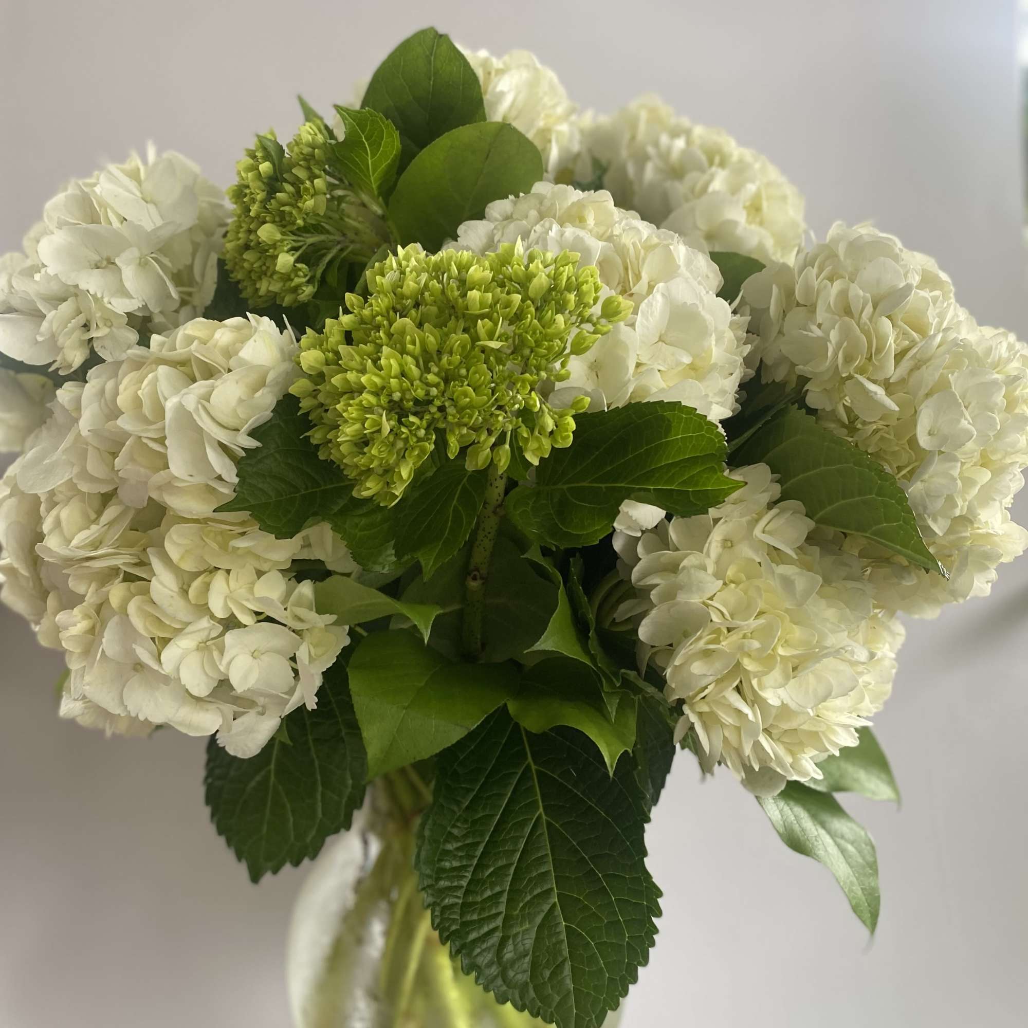 White hydrangea bouquet with green blooms in a glass vase