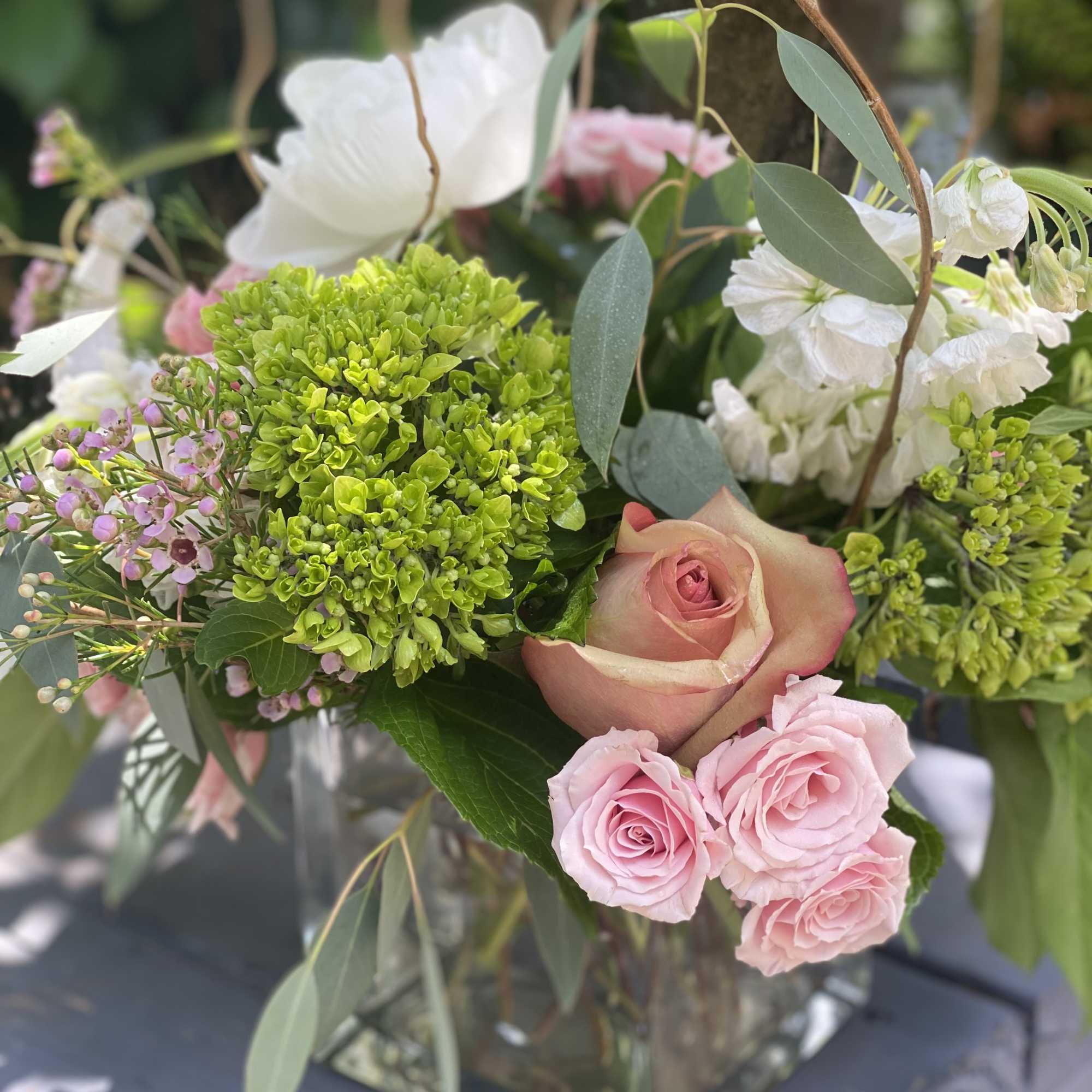 Charming Novelty with a Natural Touch
Meet "Twiggy," a cute and charming novelty