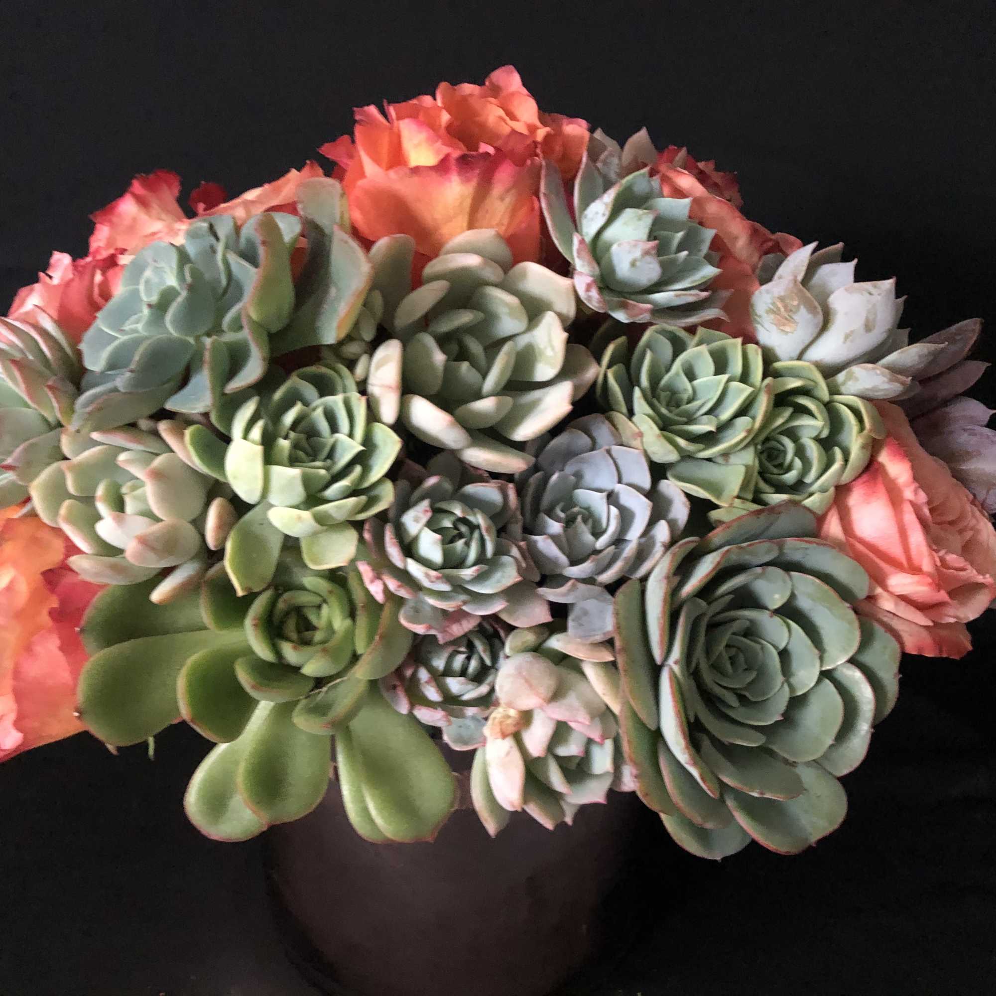 Arrangement of succulents and coral flowers in a dark pot