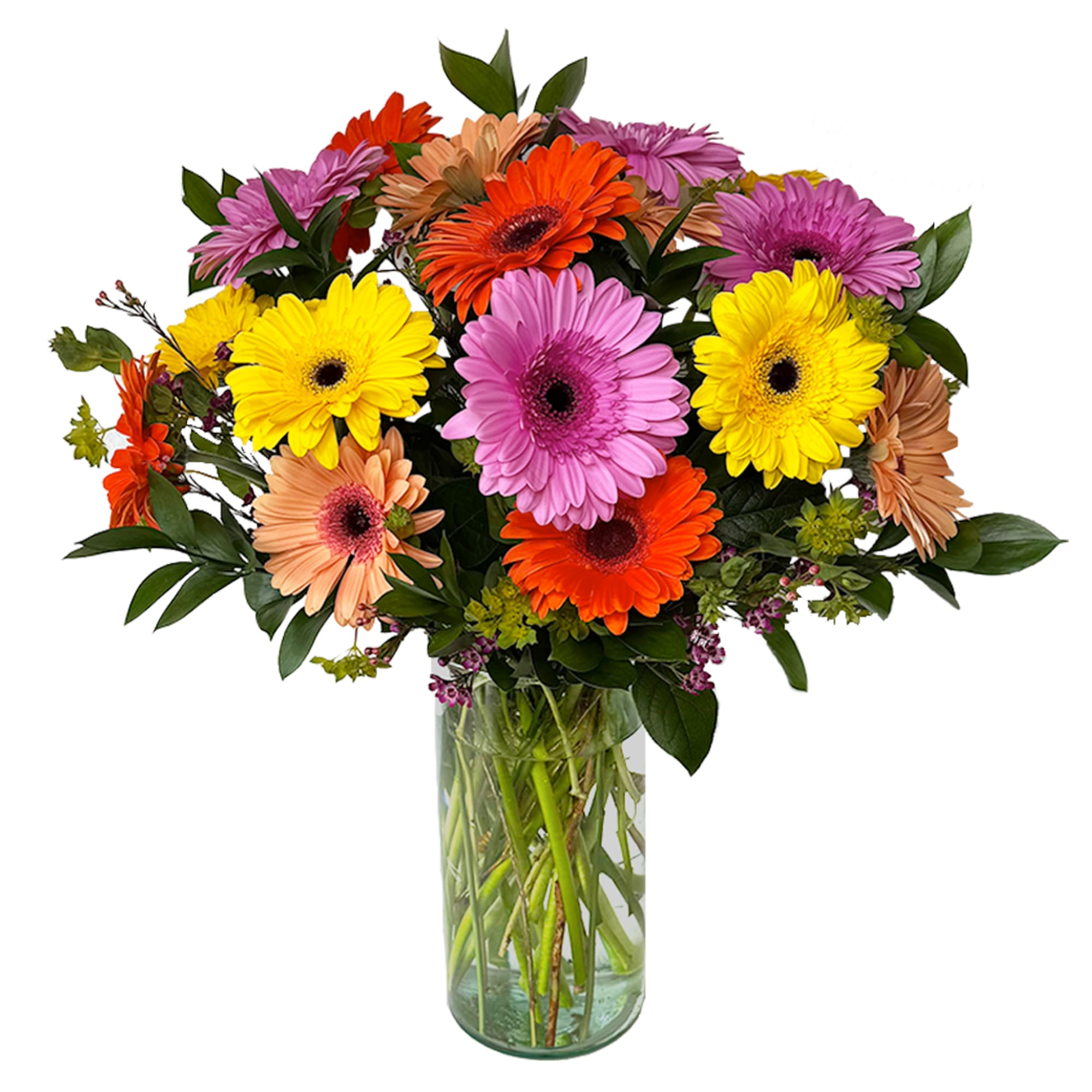 Mixed gerbera daisy bouquet in a clear glass vase