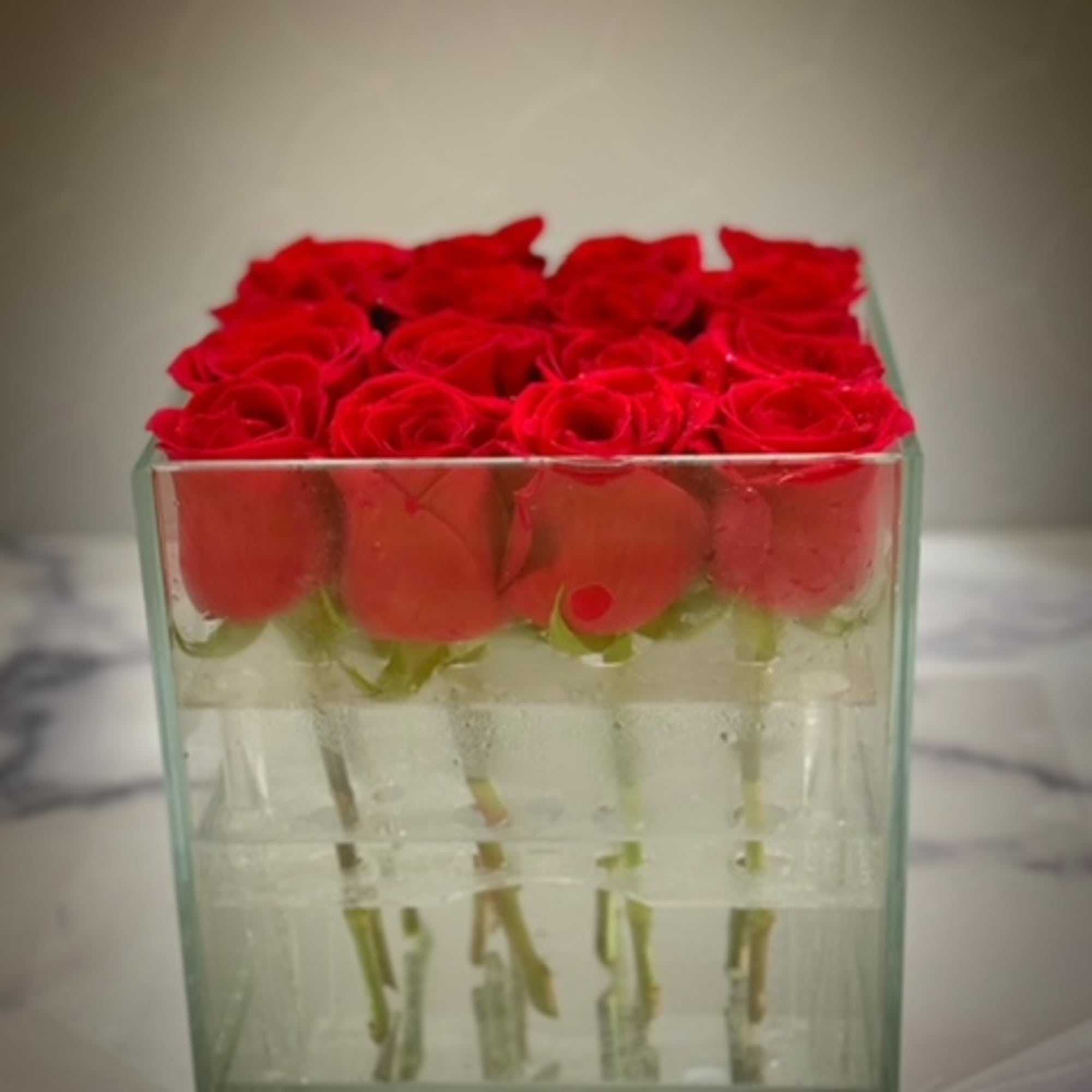 Square glass cube of tightly packed red roses with stems visible through the clear sides