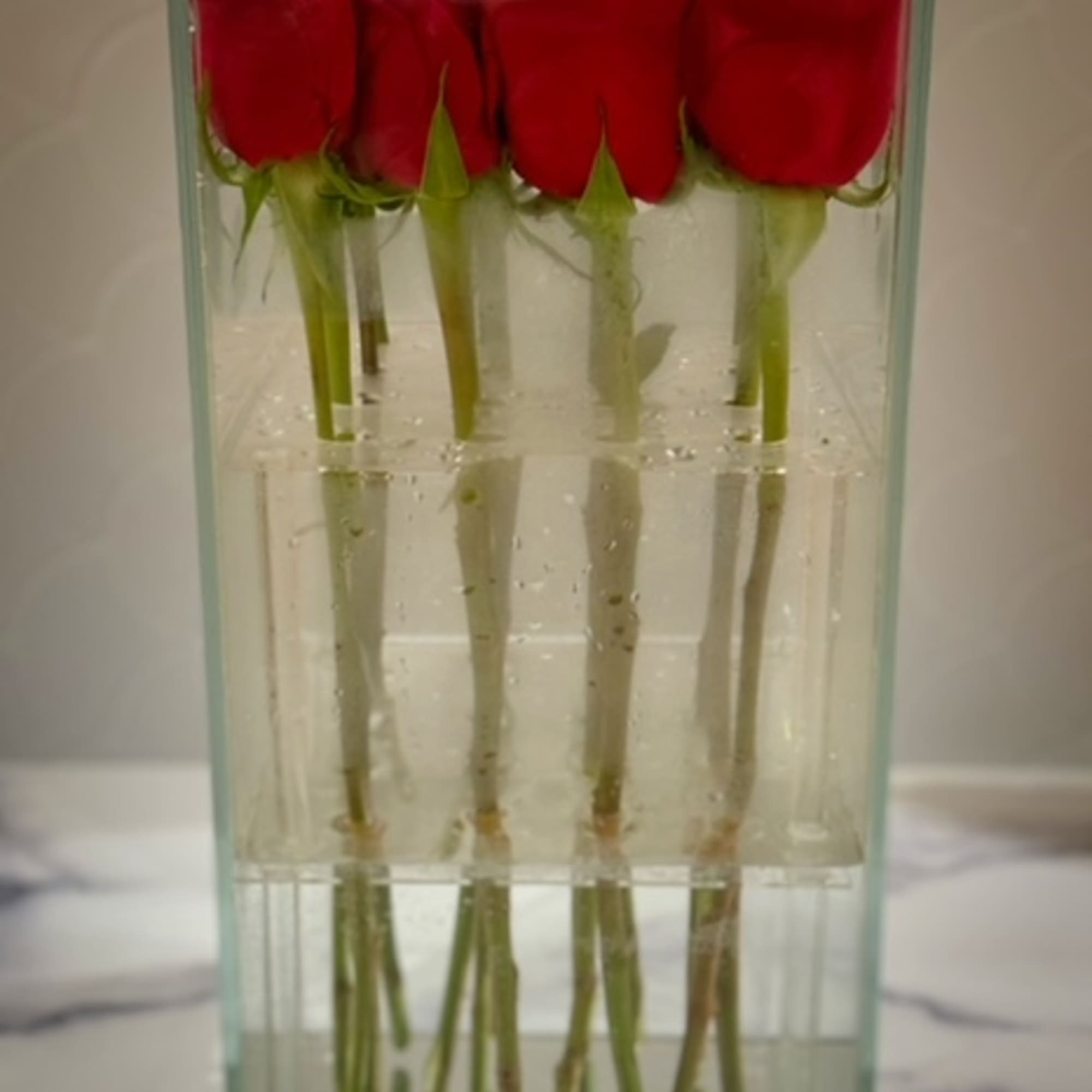 Tall glass vase with a row of red roses arranged in a modern submerged-stem design