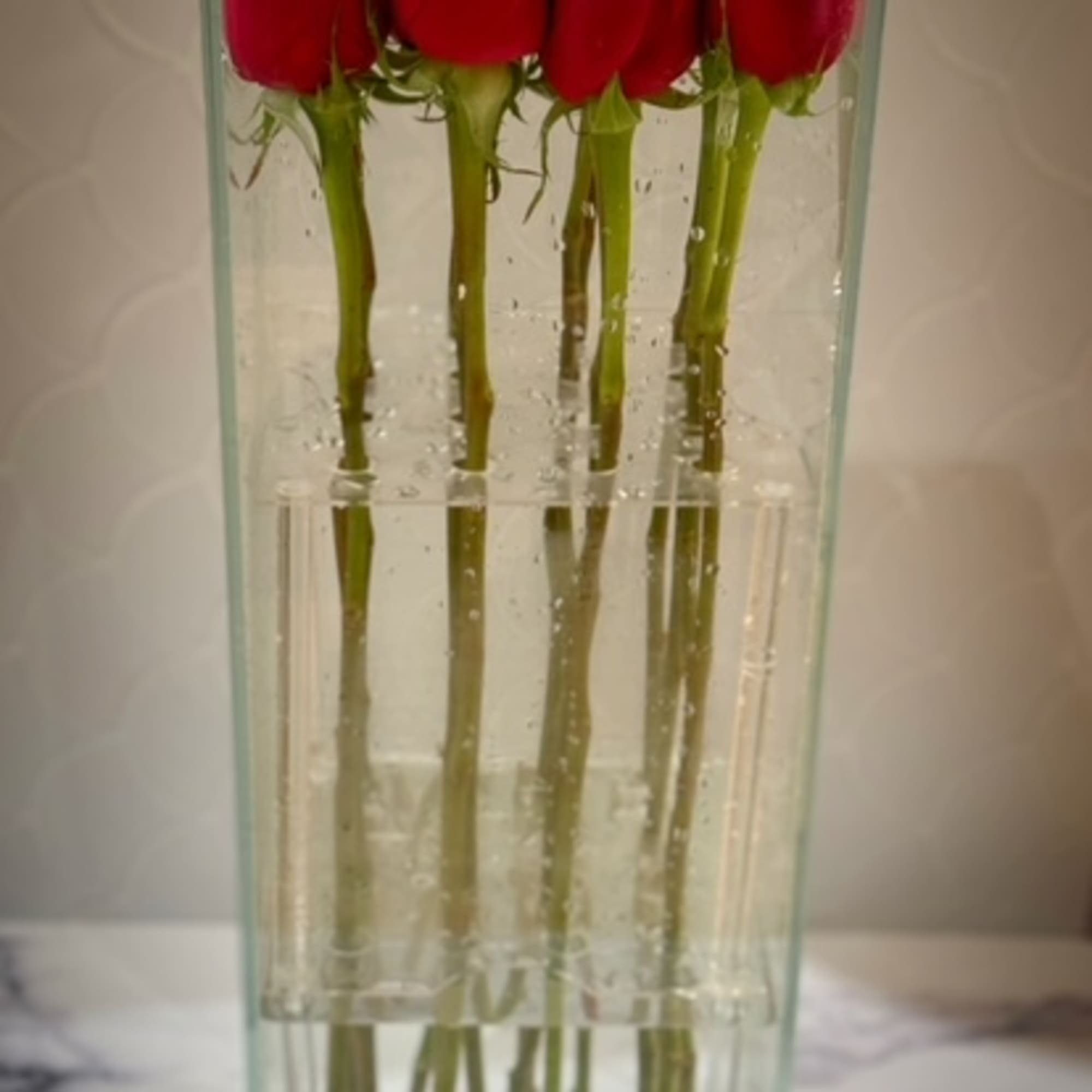 Tall rectangular glass vase filled with upright red roses arranged in a tight row