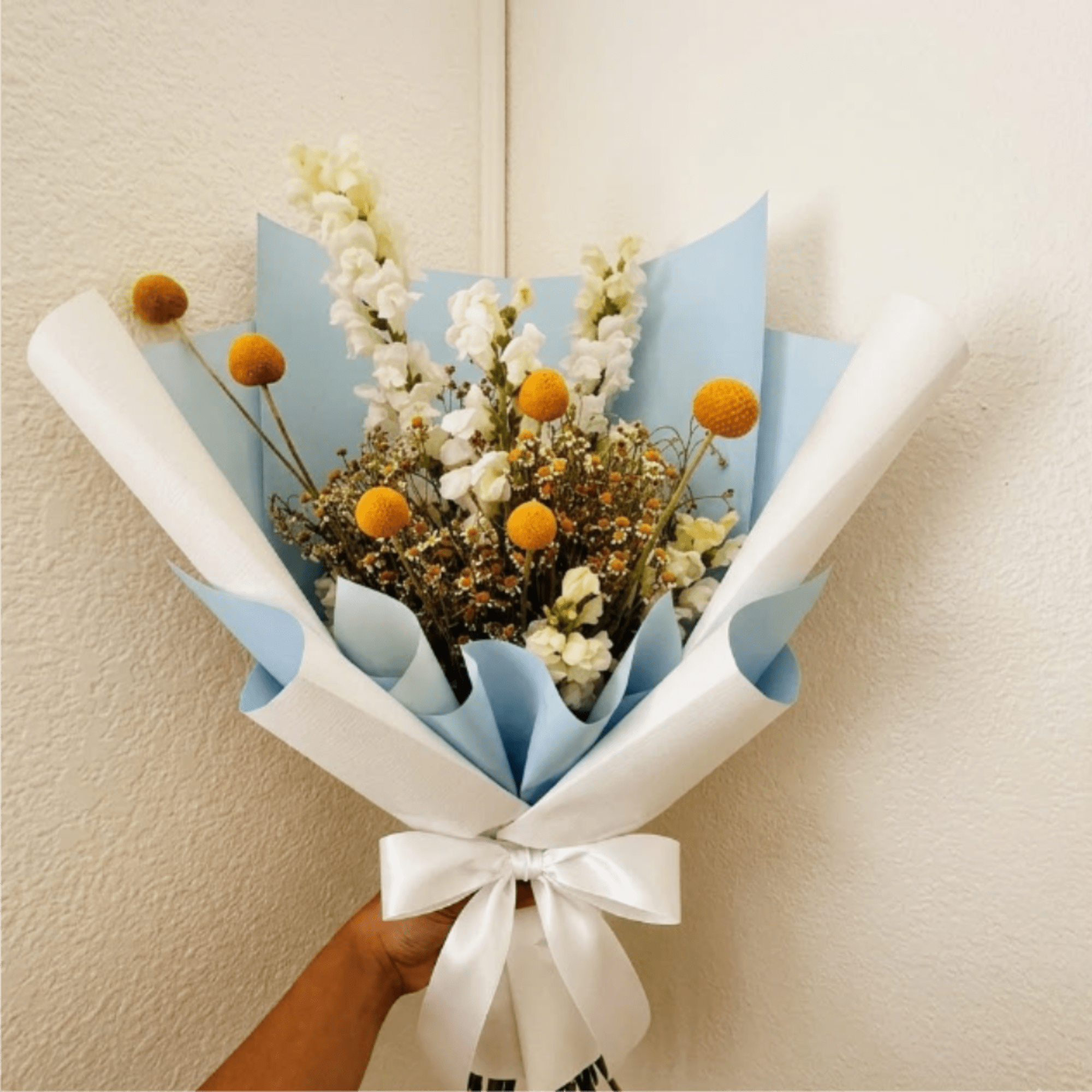 Hopeful, modern, and bright&mdash;Starlight celebrates the arrival of a new star in