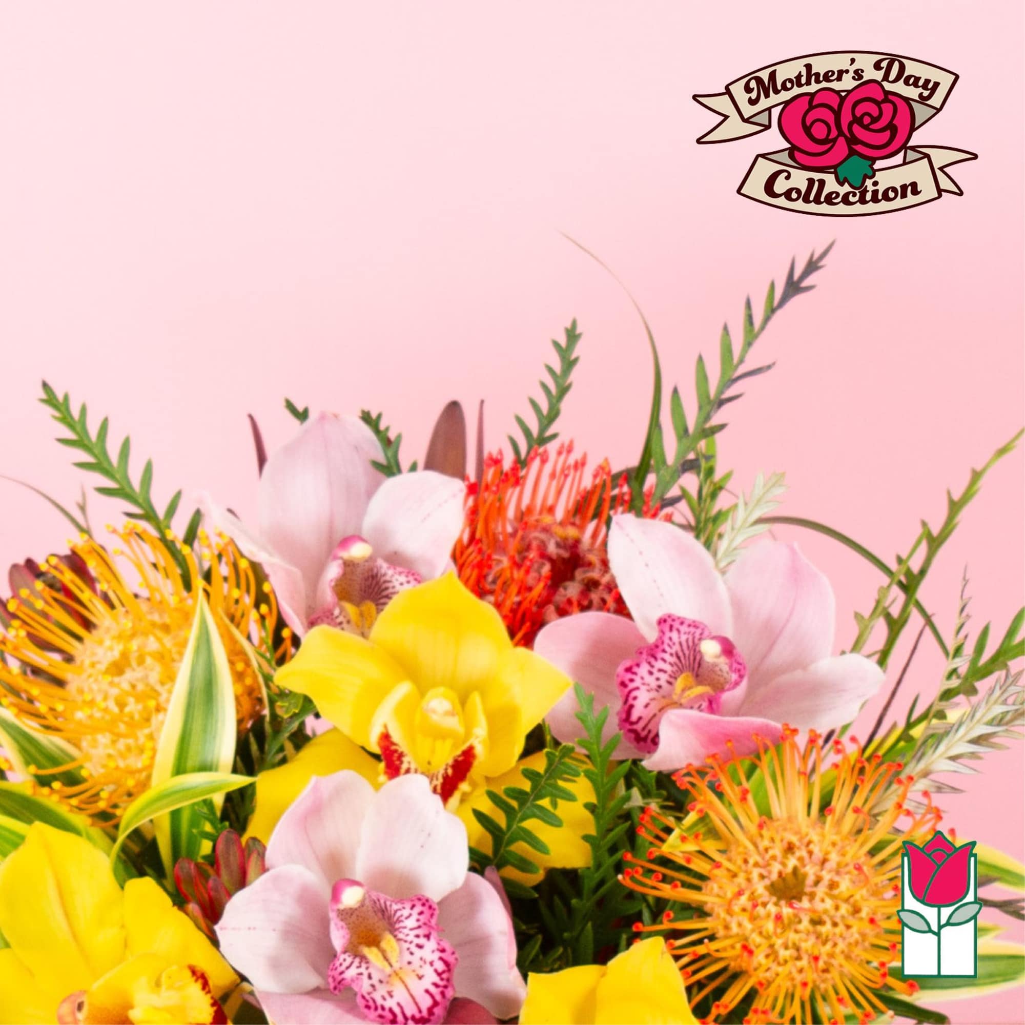Bright bouquet of yellow and pink orchids with orange pincushion protea against a pink background