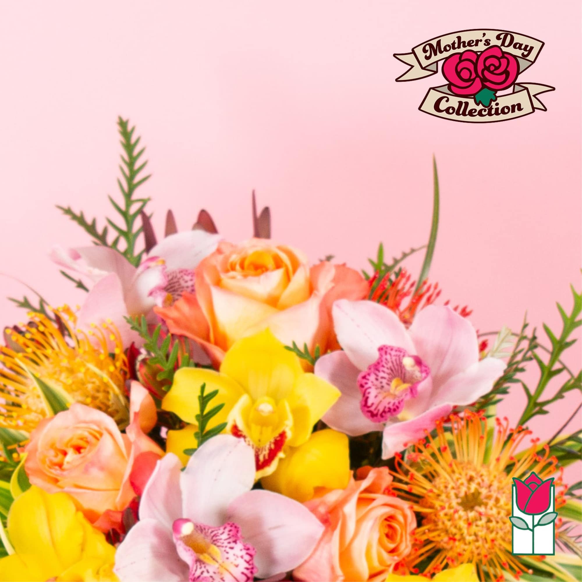 Colorful bouquet of peach roses, yellow and pink orchids, and orange pincushion protea on a pink background