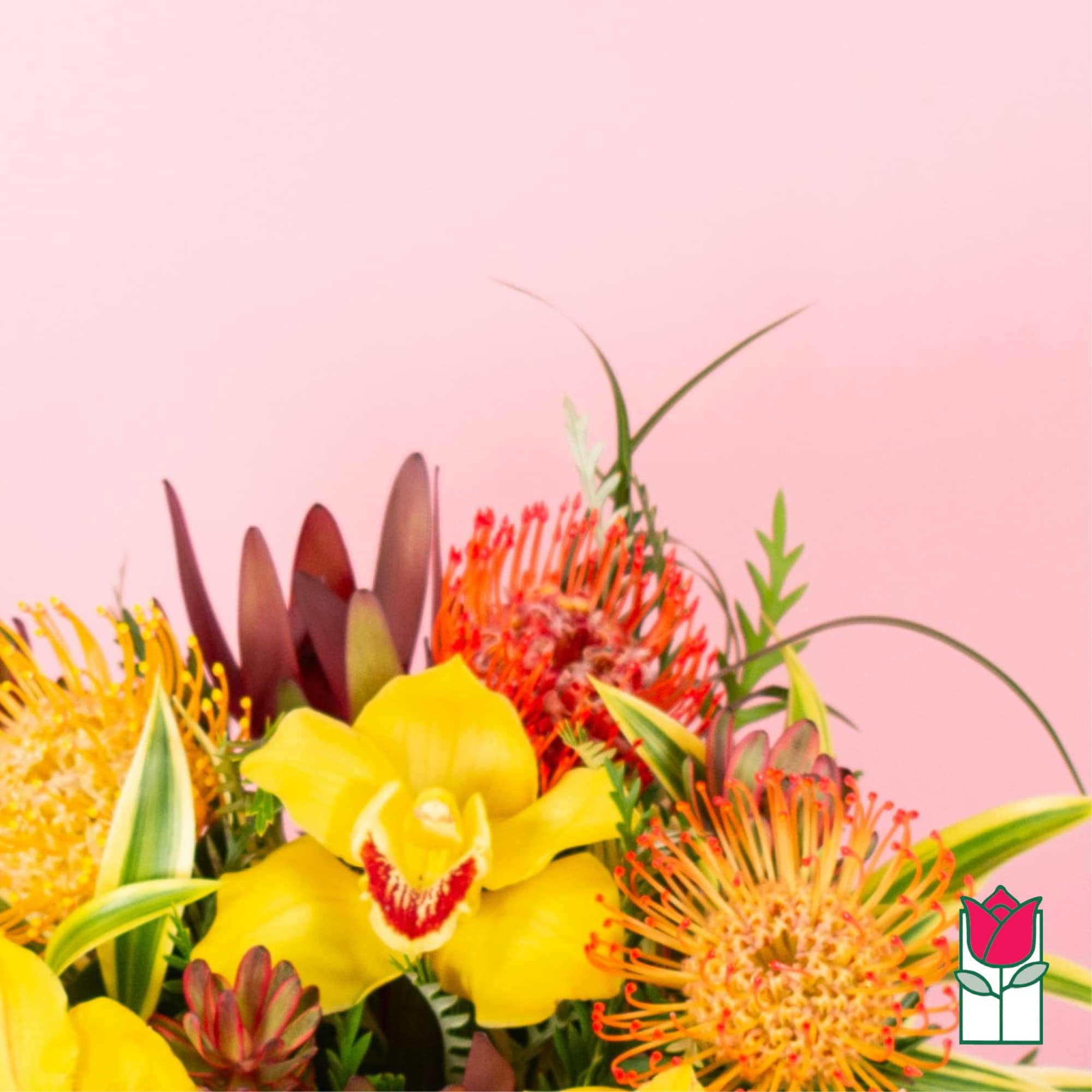 Bright tropical arrangement with yellow orchids and orange protea against a pink background