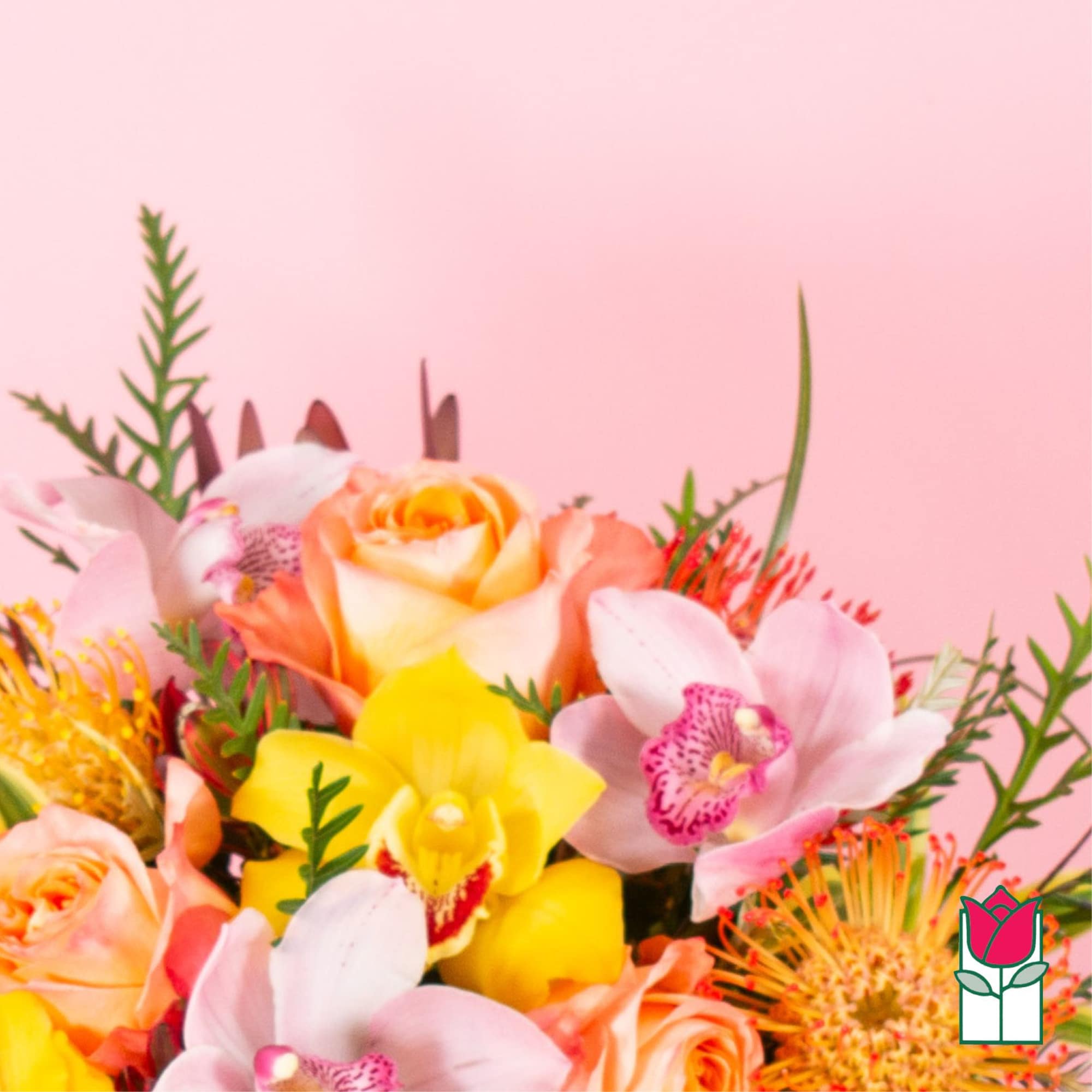 Bright bouquet of peach roses, yellow and pink orchids, and orange protea on a pink background